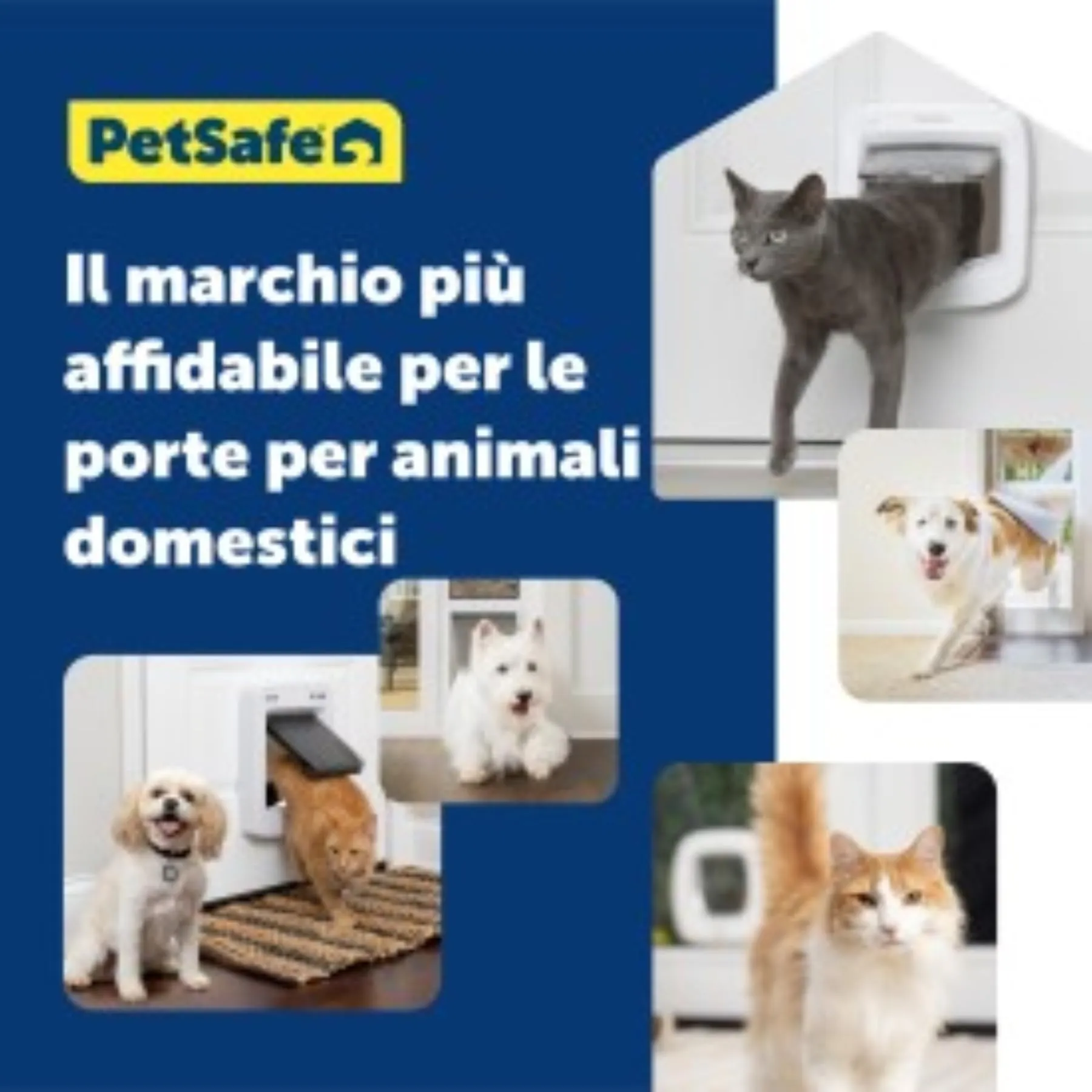 PetSafe Tunnel per Gattaiola Microchip e Blocco Manuale, Bianco - immagine 6