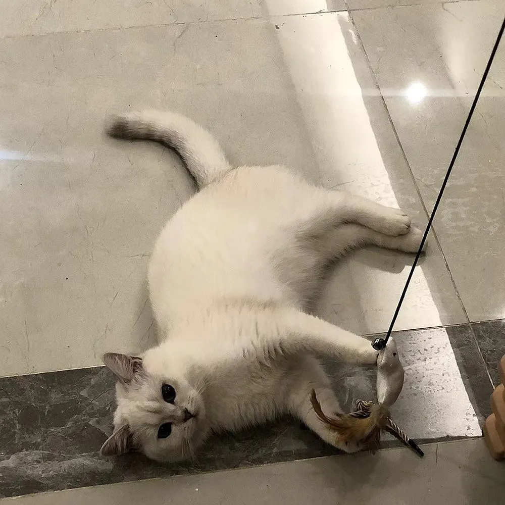 YINGLUOEU Giochi con Piume per Gatti Bacchette Retrattili, 4 Pezzi - immagine 5