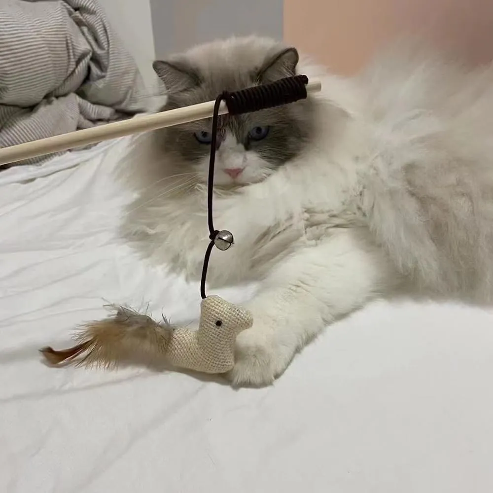 YINGLUOEU Giochi con Piume per Gatti Bacchette Retrattili, 4 Pezzi - immagine 6