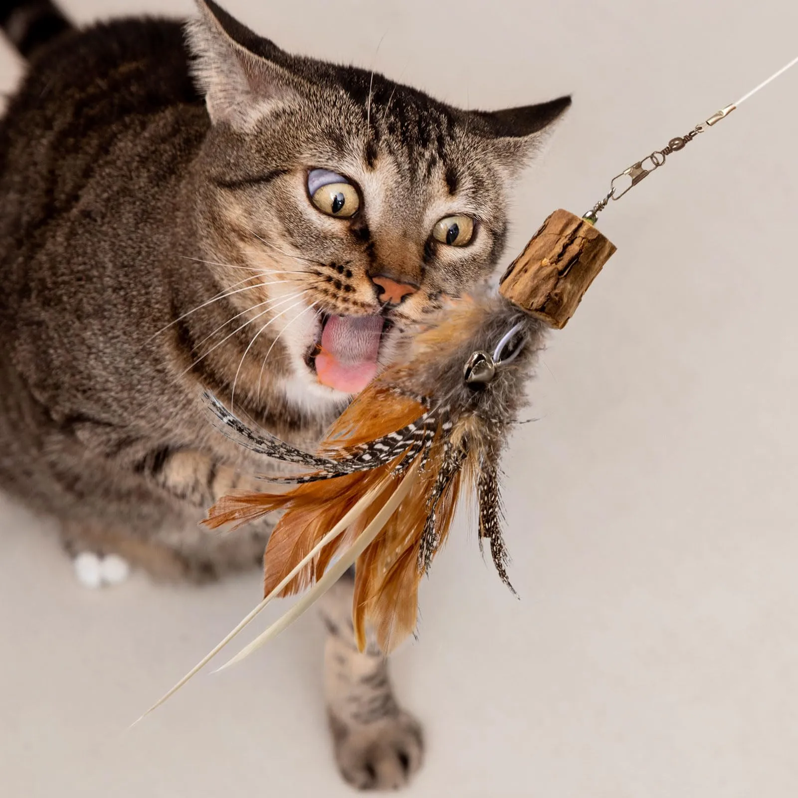 onebarleycorn Giochi con Piume e Topolini per Gatto, Set 8 Pezzi Ricambi per Canna da Gatto - immagine 6
