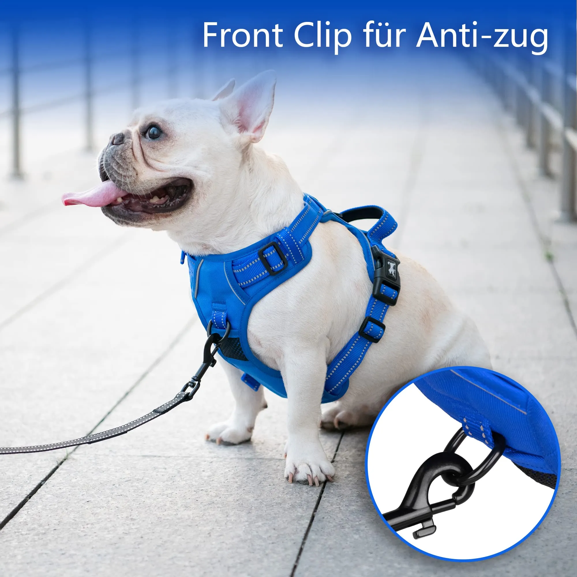 PoyPet Pettorina anti-tiro per cani, catarifrangente, regolabile e imbottita, taglia S, blu - immagine 5