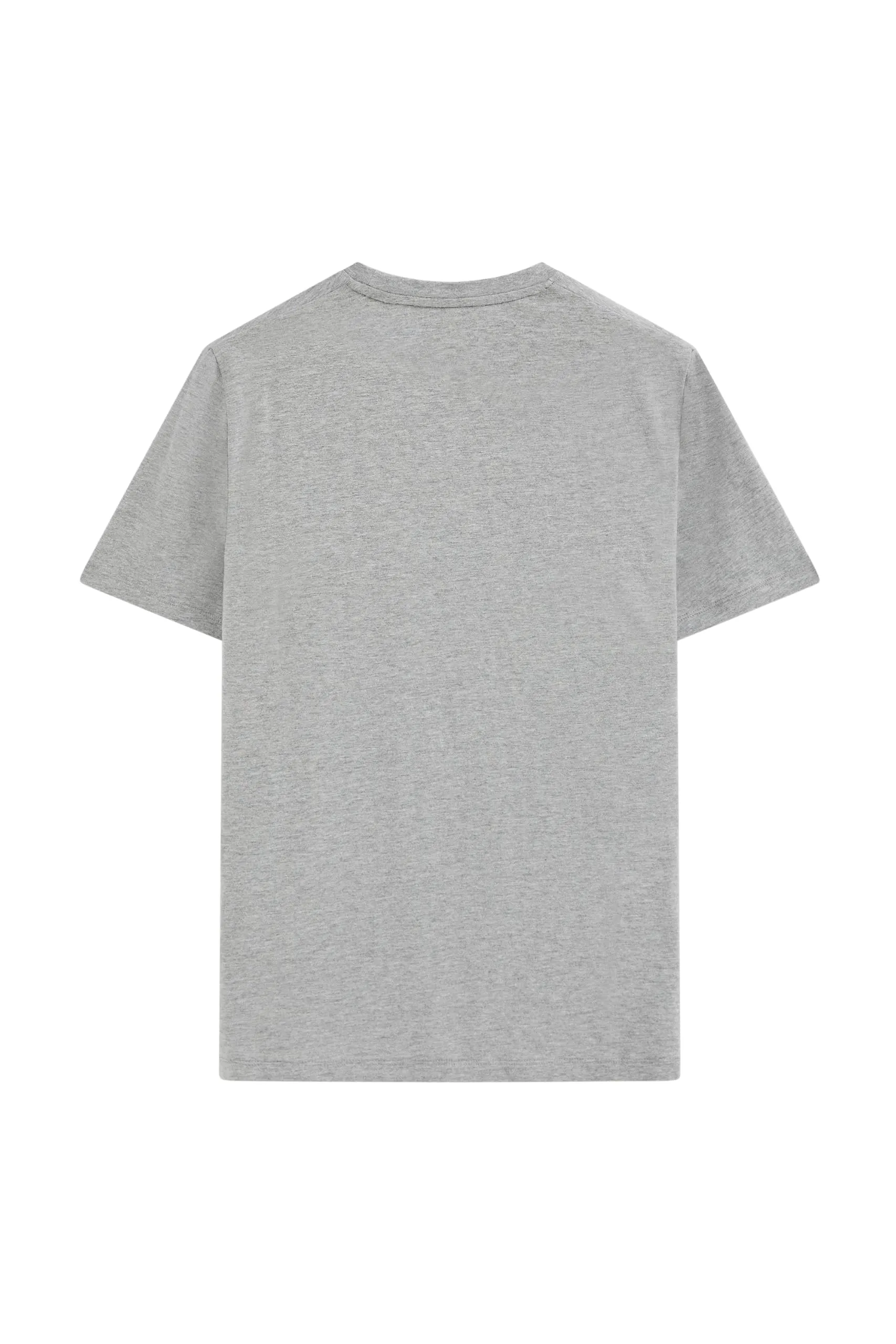 Polo Club Maglietta Basic in Cotone con Logo Ricamato Uomo, Grigio Vigorè - immagine 7