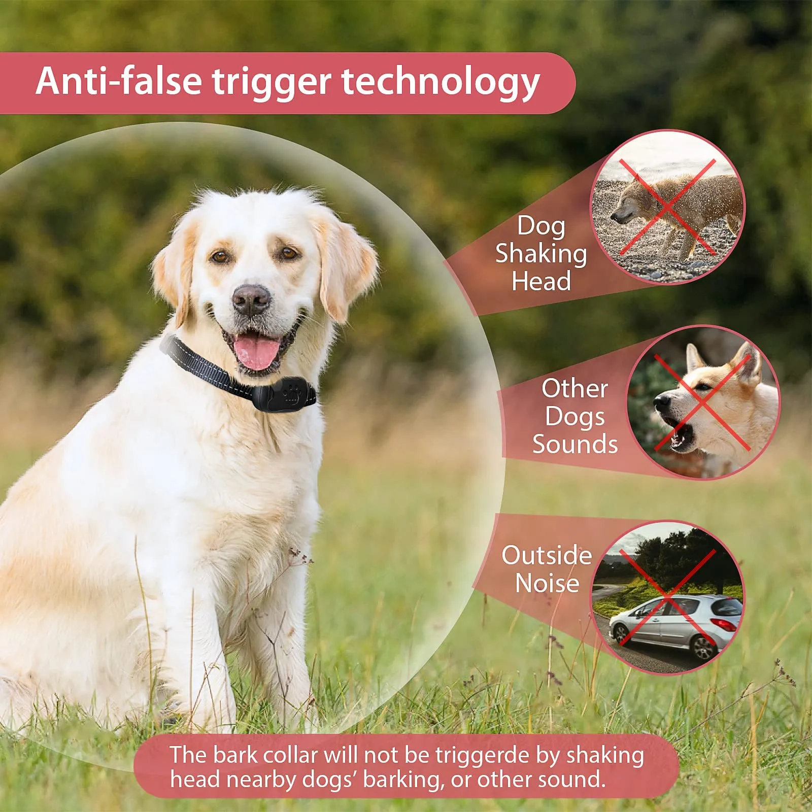 PcEoTllar Collare Antiabbaio per Cani Ricaricabile, Rosa - immagine 4