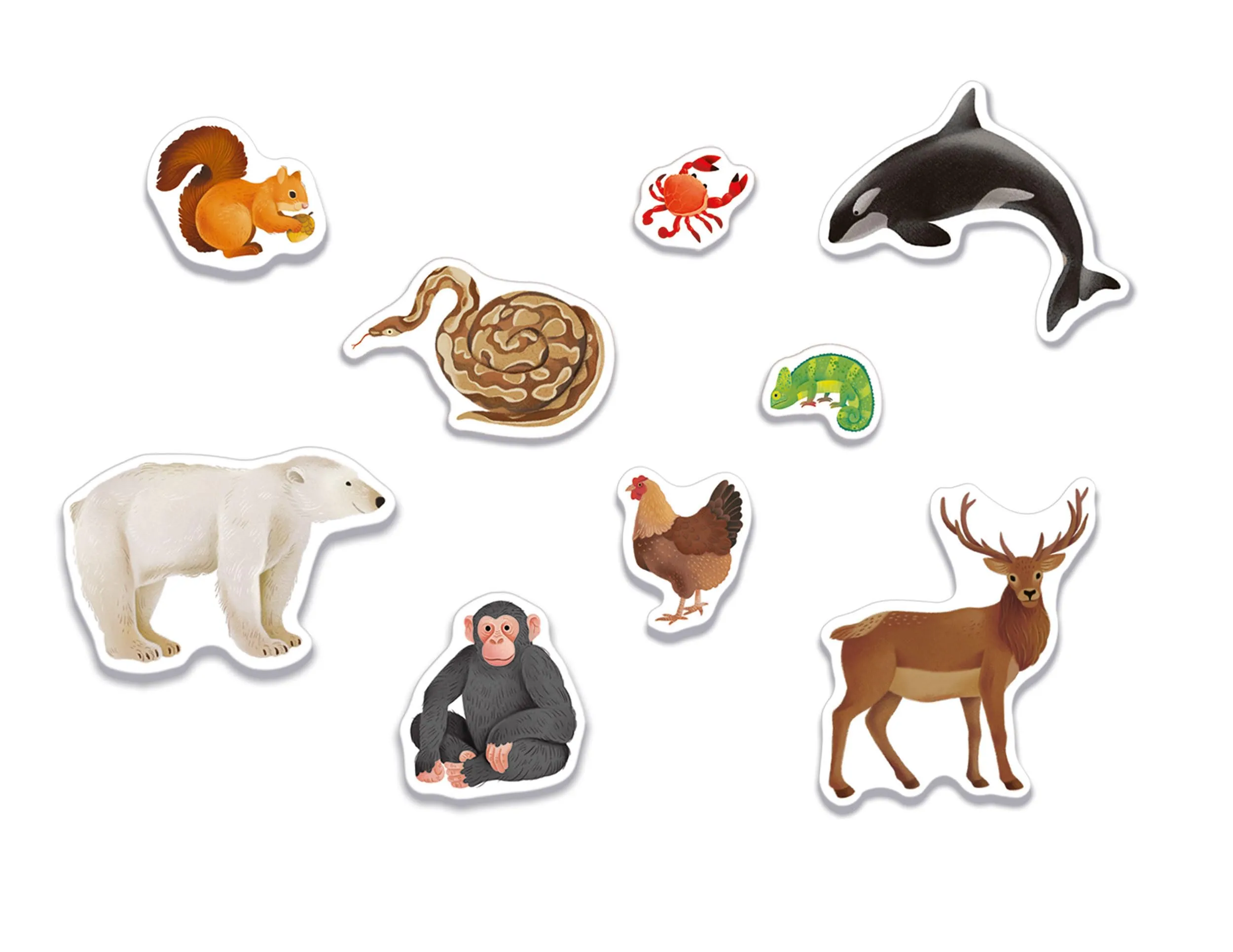 Clementoni Sapientino Montessori - Gli Animali, Gioco Educativo per Bambini 3-5 Anni, 16867 - immagine 8