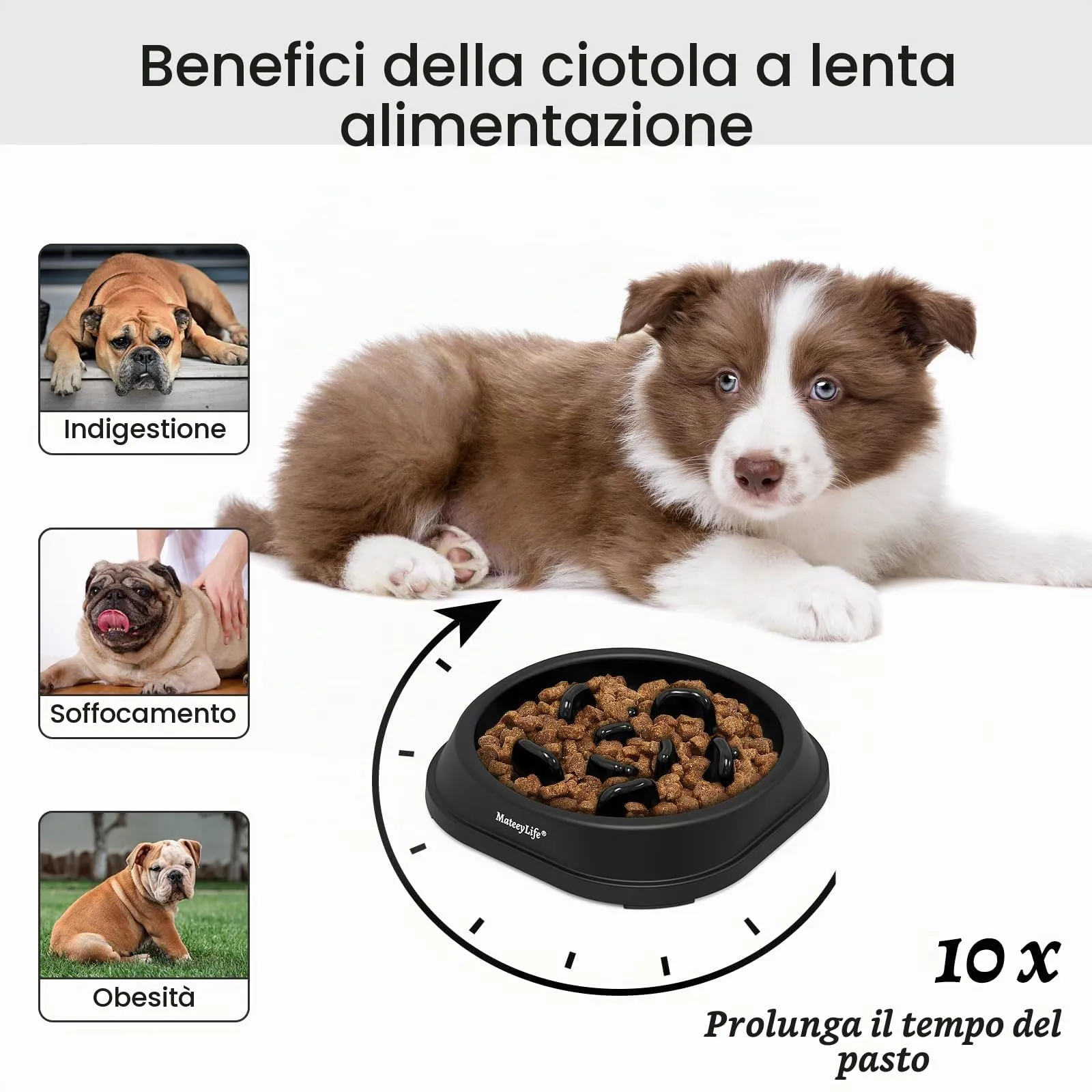 MateeyLife Ciotola per Alimentazione Lenta per Gatti e Cani di Piccola Taglia, Antiscivolo, Nero - immagine 2