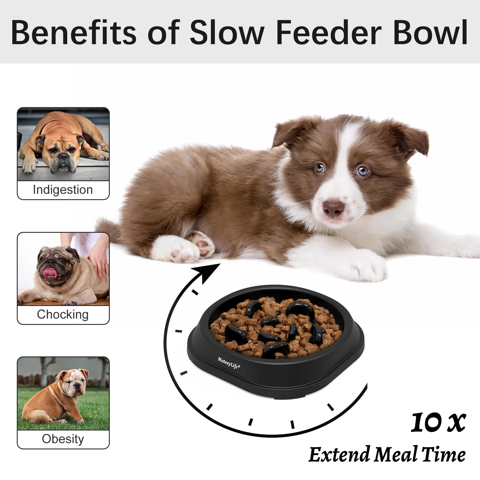 MateeyLife Ciotola Alimentazione Lenta per Gatti e Cani di Piccola Taglia, Antiscivolo, 1 Tazza, Grigio e Nero - immagine 2