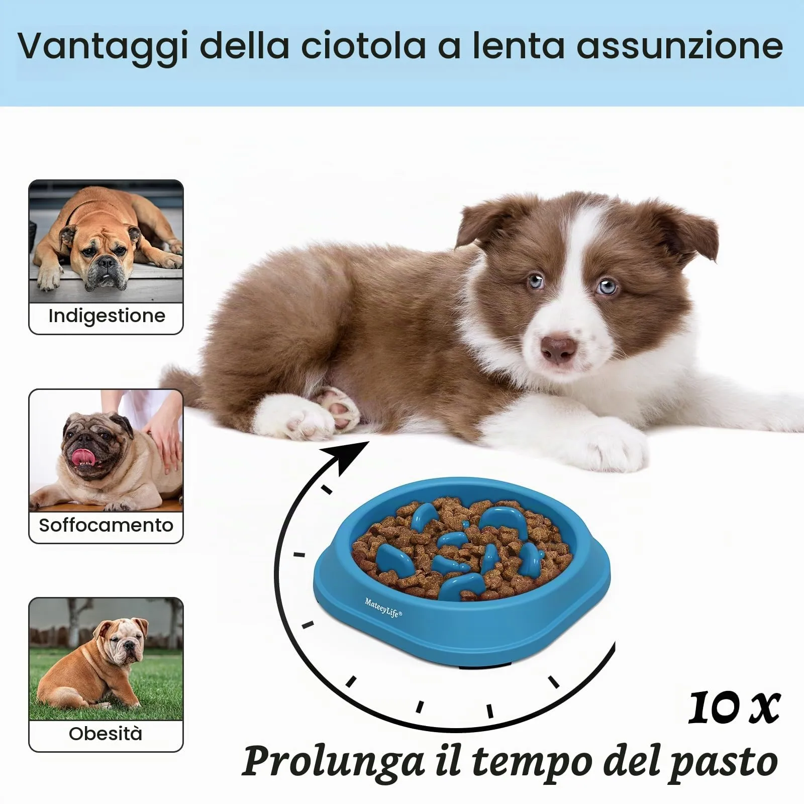 MateeyLife Ciotola Slow Feeder per Cani di Piccola Taglia, Blu Chiaro e Blu Scuro, 15,24 cm - immagine 2