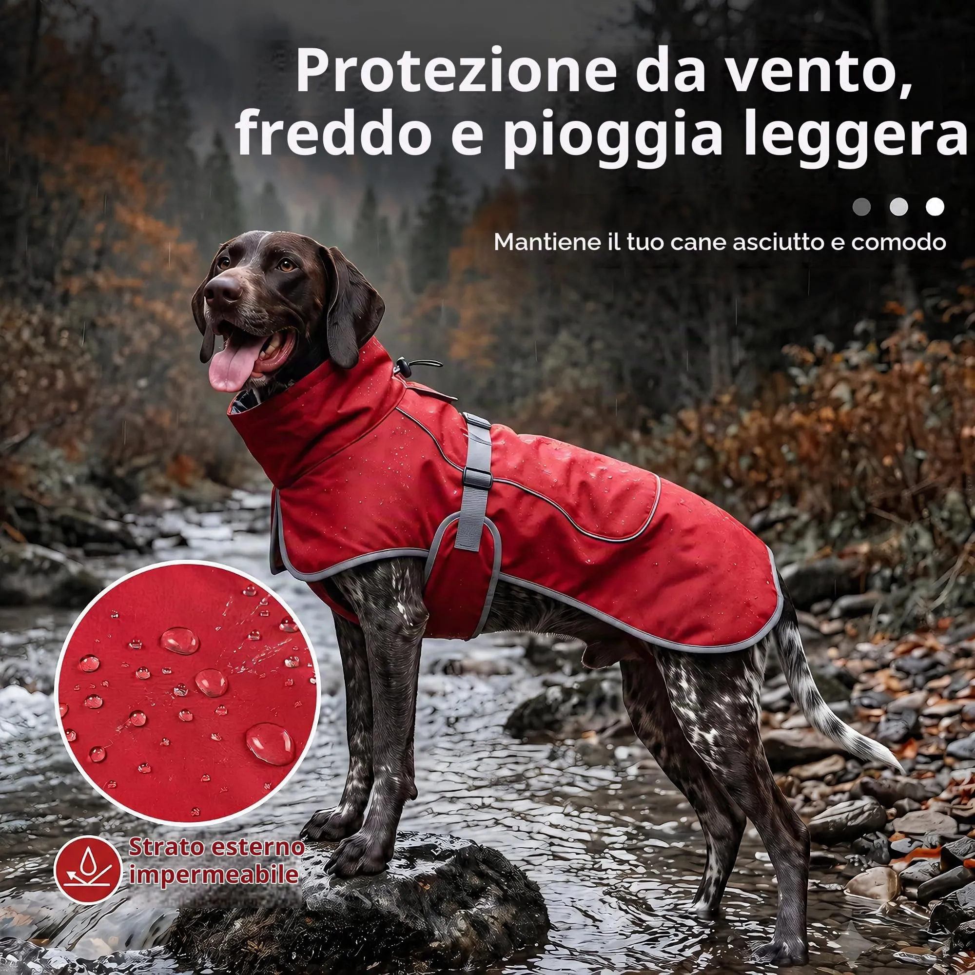 HEYWEAN Giacca Impermeabile Riflettente per Cani con Fodera in Pile, Rosso, Taglia L - immagine 3