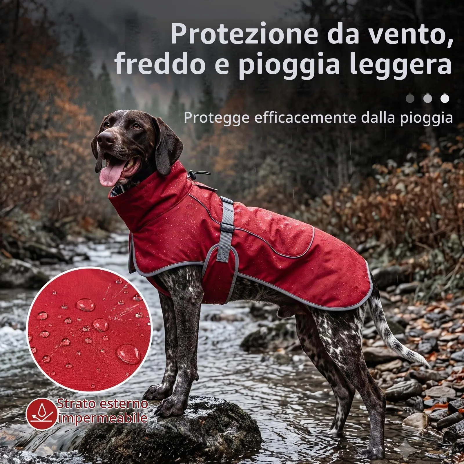 HEYWEAN Giacca Impermeabile per Cani con Fodera in Pile e Strisce Riflettenti, Rosso, XS - immagine 3