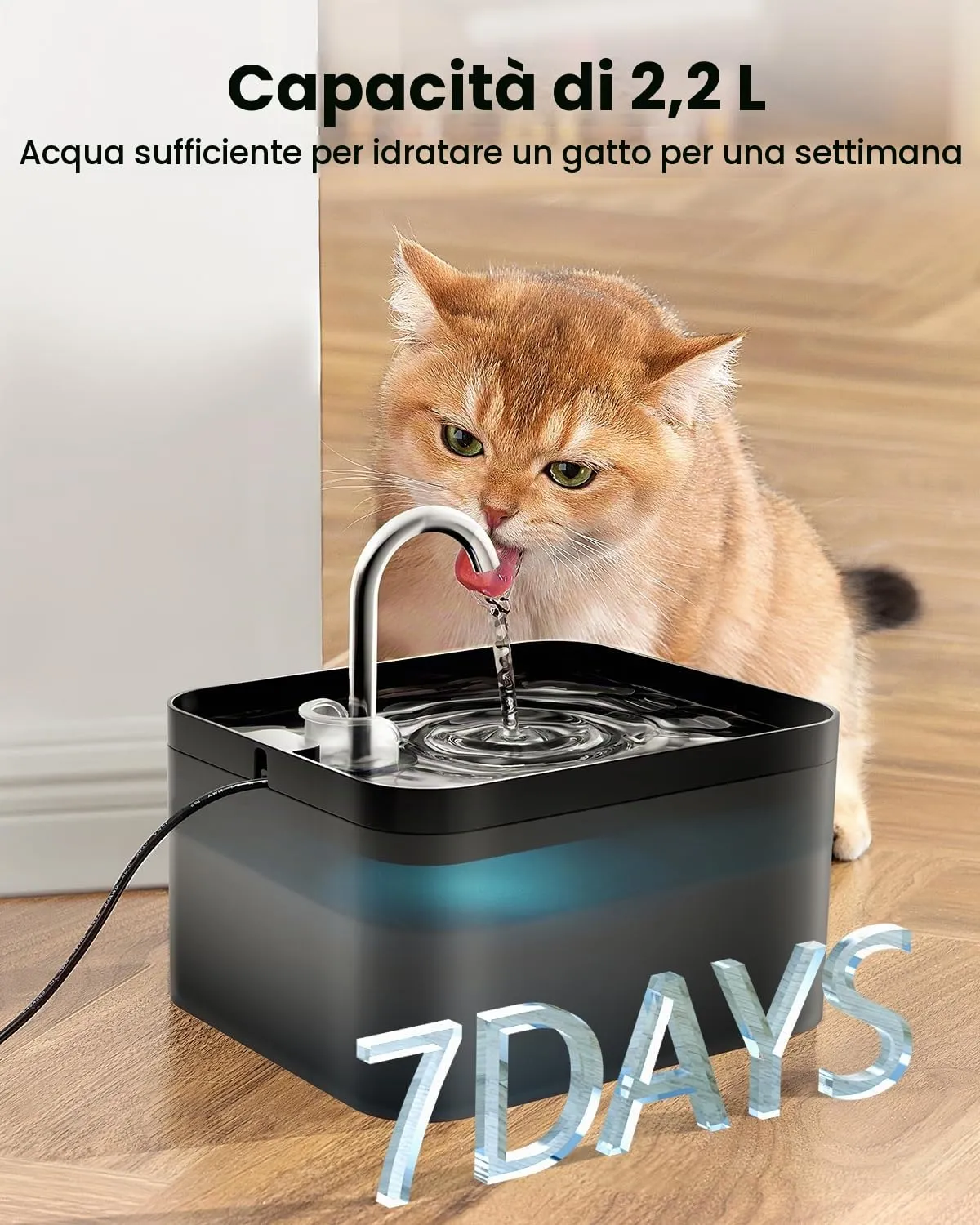 PawPoll Fontanella per Gatti, 2,2L, Ultra Silenziosa, con LED, Nero, Include 6 Filtri e 3 Spugne - immagine 2
