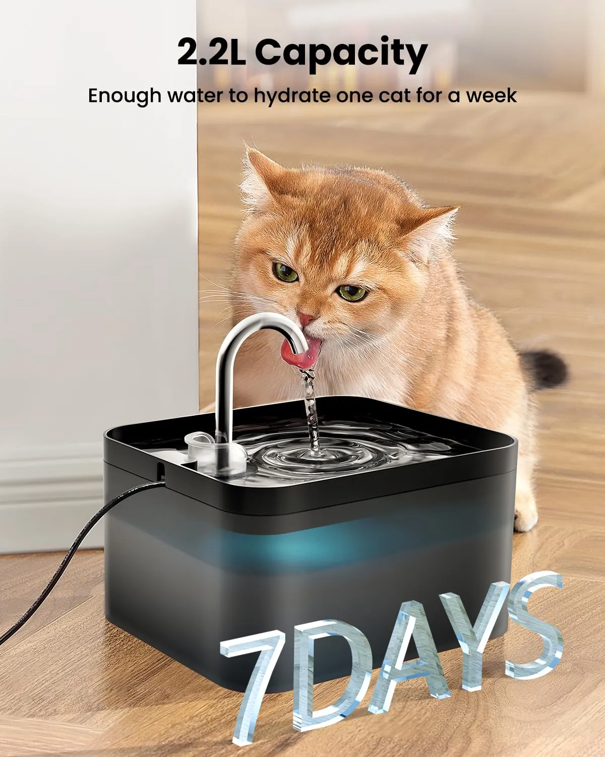 PawPoll Fontanella per Gatti 2,2L con LED e Filtro a Carbone Attivo, Nero - immagine 2