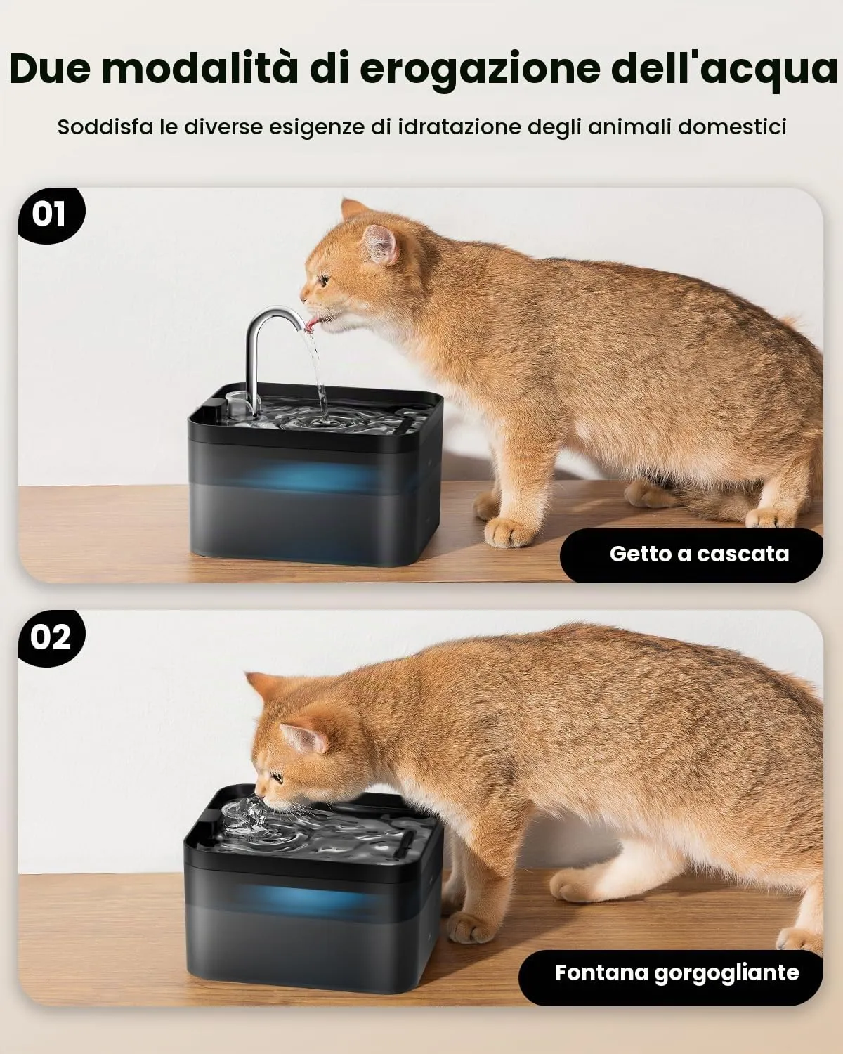 PawPoll Fontanella per Gatti 2,2L con LED e Filtro a Carbone Attivo, Nero - immagine 7