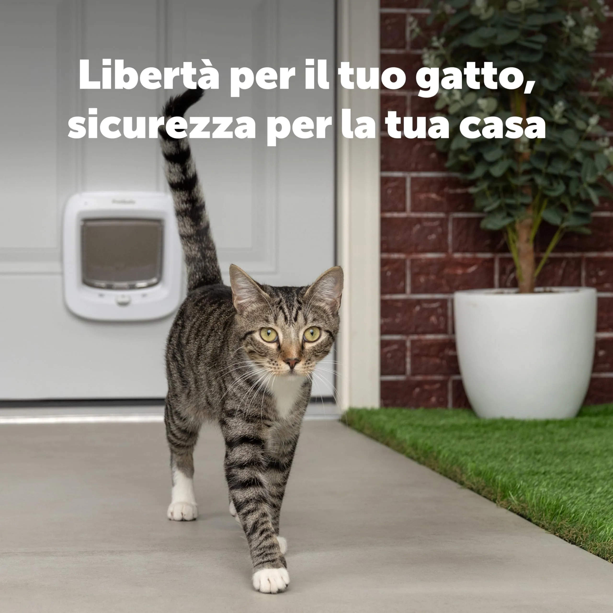 PetSafe Porta per Gatti Microchip, Bianca - immagine 2