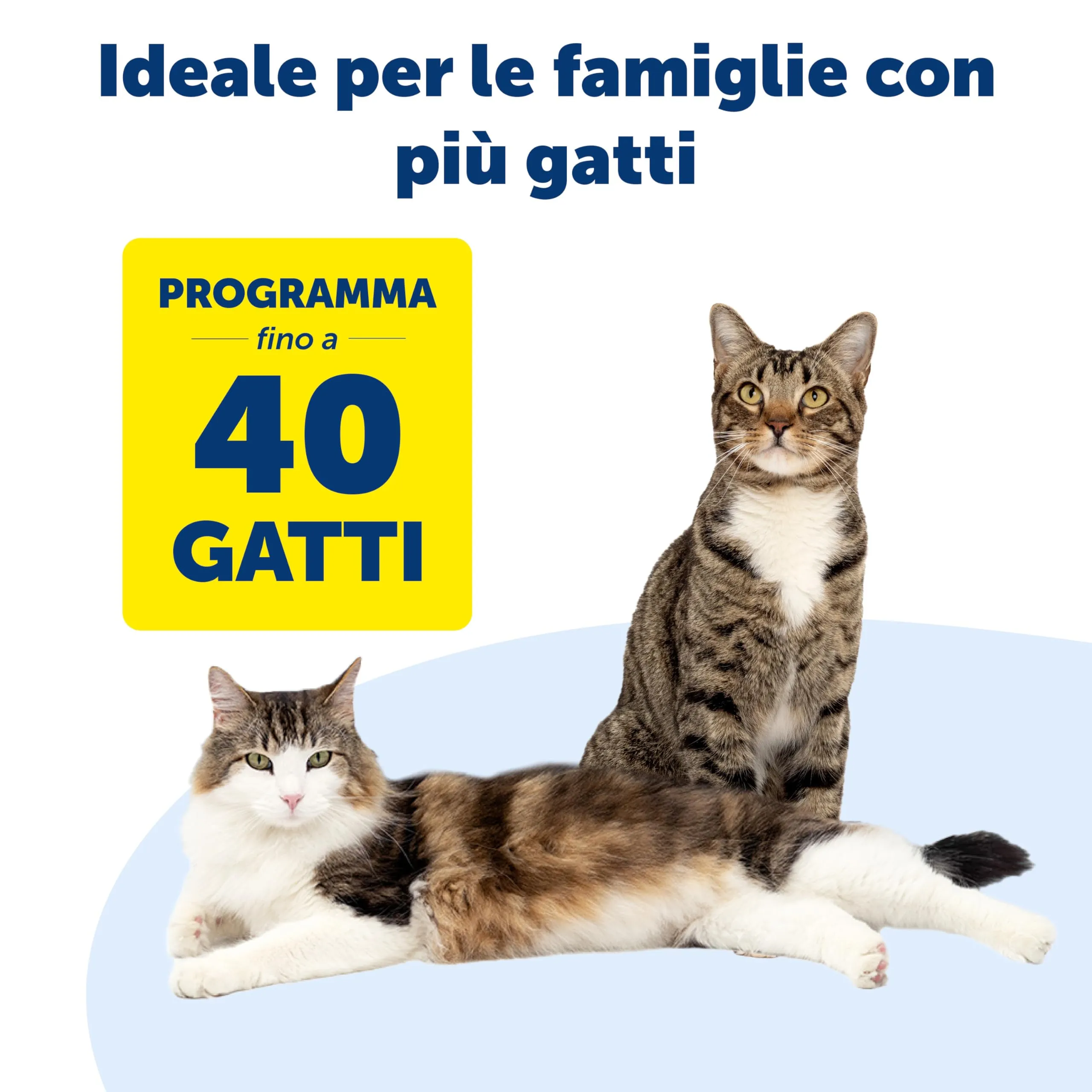 PetSafe Porta per Gatti Microchip, Bianca - immagine 3
