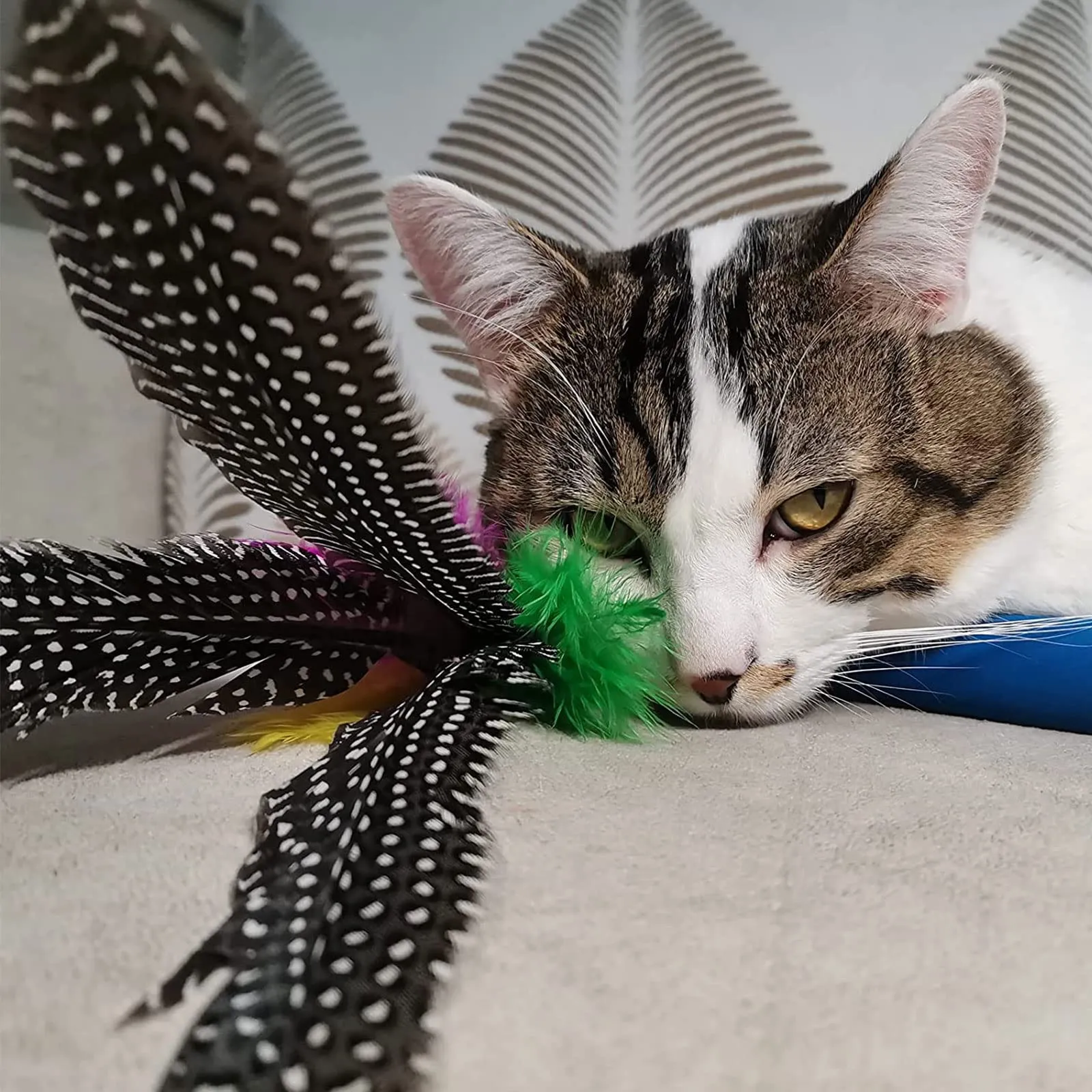 onebarleycorn Giochi con Piume per Gatto, Set da 9 Pezzi con Bacchetta Interattiva Retrattabile e 8 Ricariche - immagine 9