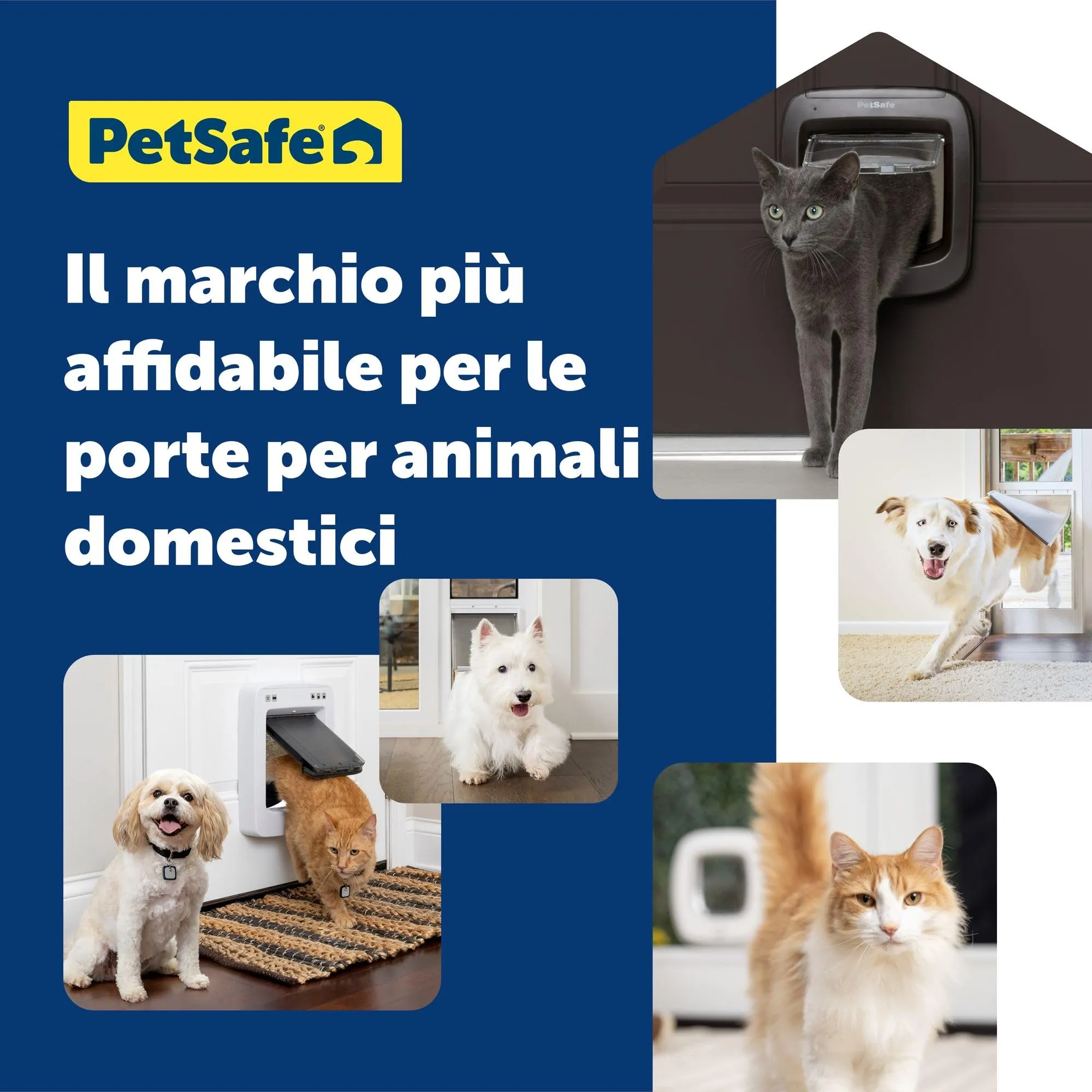 PetSafe Tunnel per Gattaiola Microchip e Blocco Manuale, Marrone - immagine 6