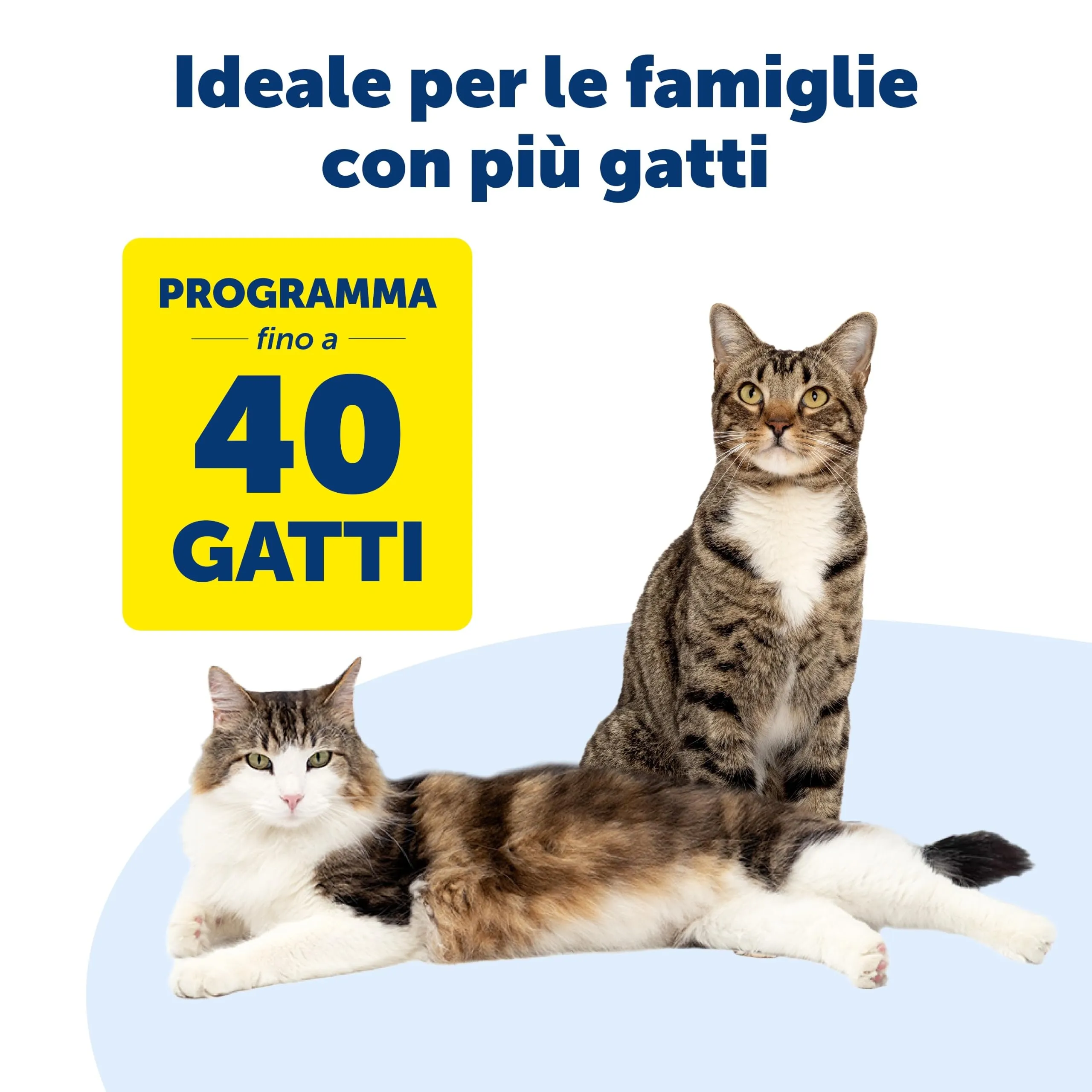PetSafe Porta per Gatti Microchip, Marrone - immagine 5