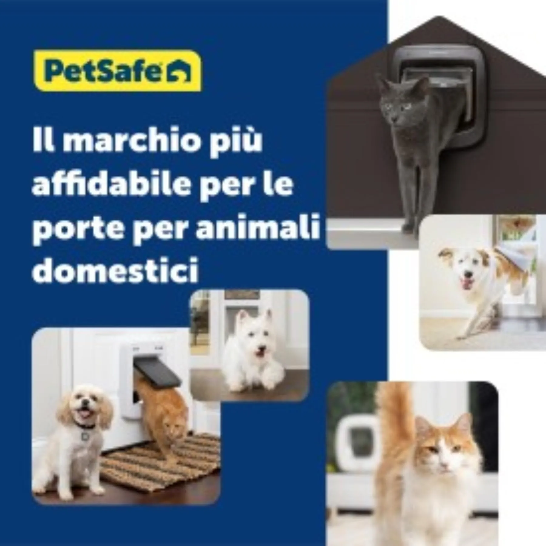 PetSafe Adattatore di Installazione per Gattaiola Microchip e Blocco Manuale - Marrone - immagine 6