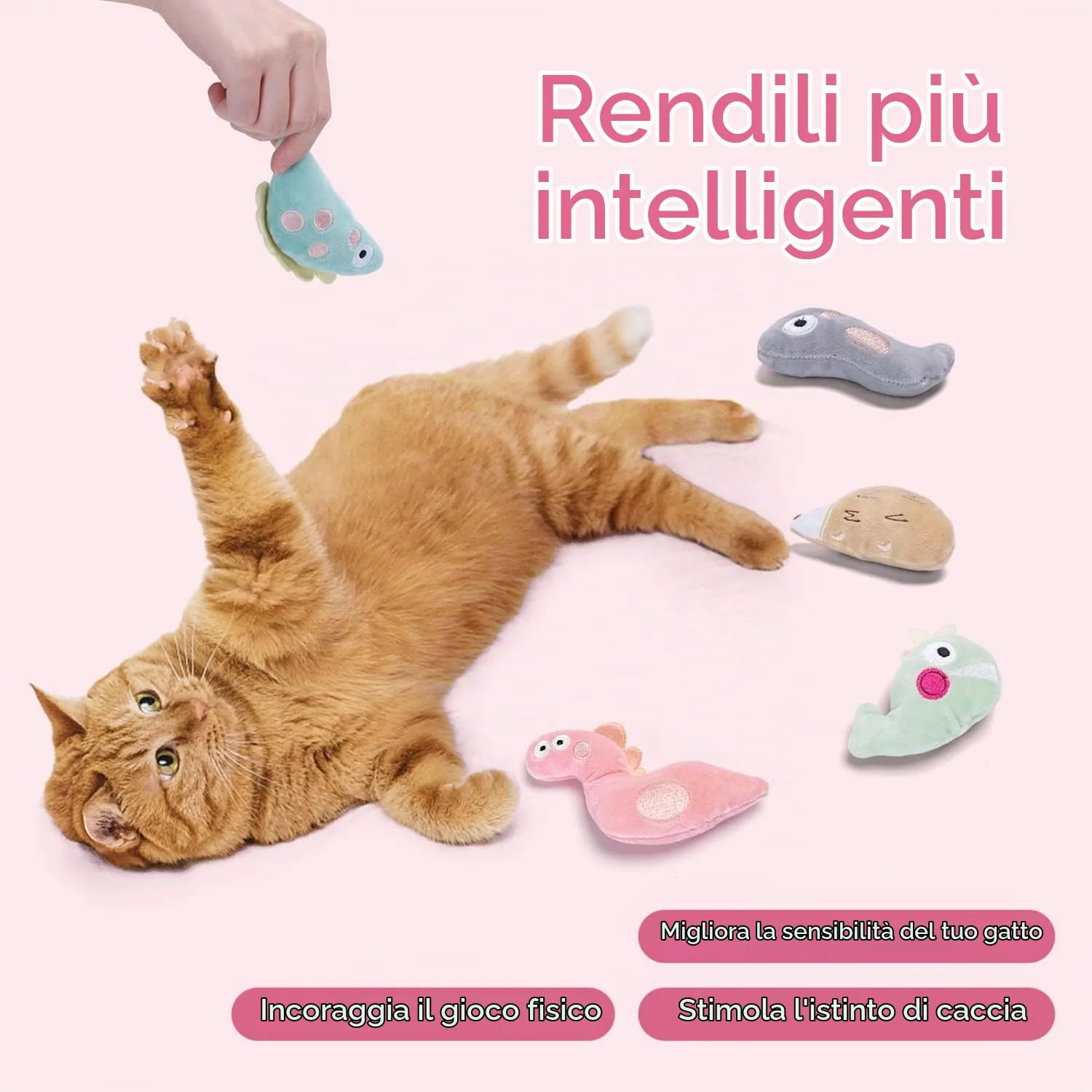 Nobleza Set di 5 Giocattoli con Erba Gatta per Gatti, Peluche Interattivi - immagine 3