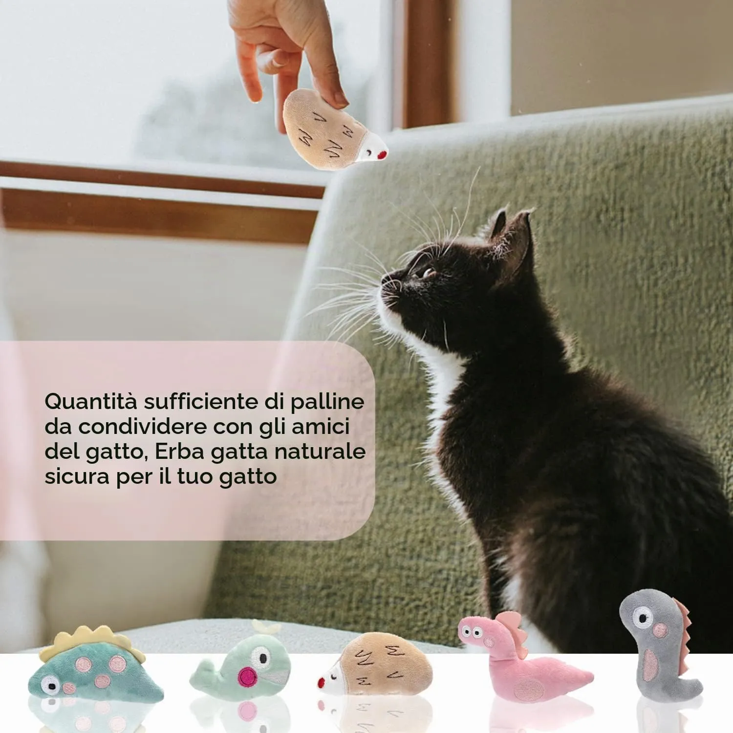 Nobleza Set di 5 Giocattoli con Erba Gatta per Gatti, Peluche Interattivi - immagine 7