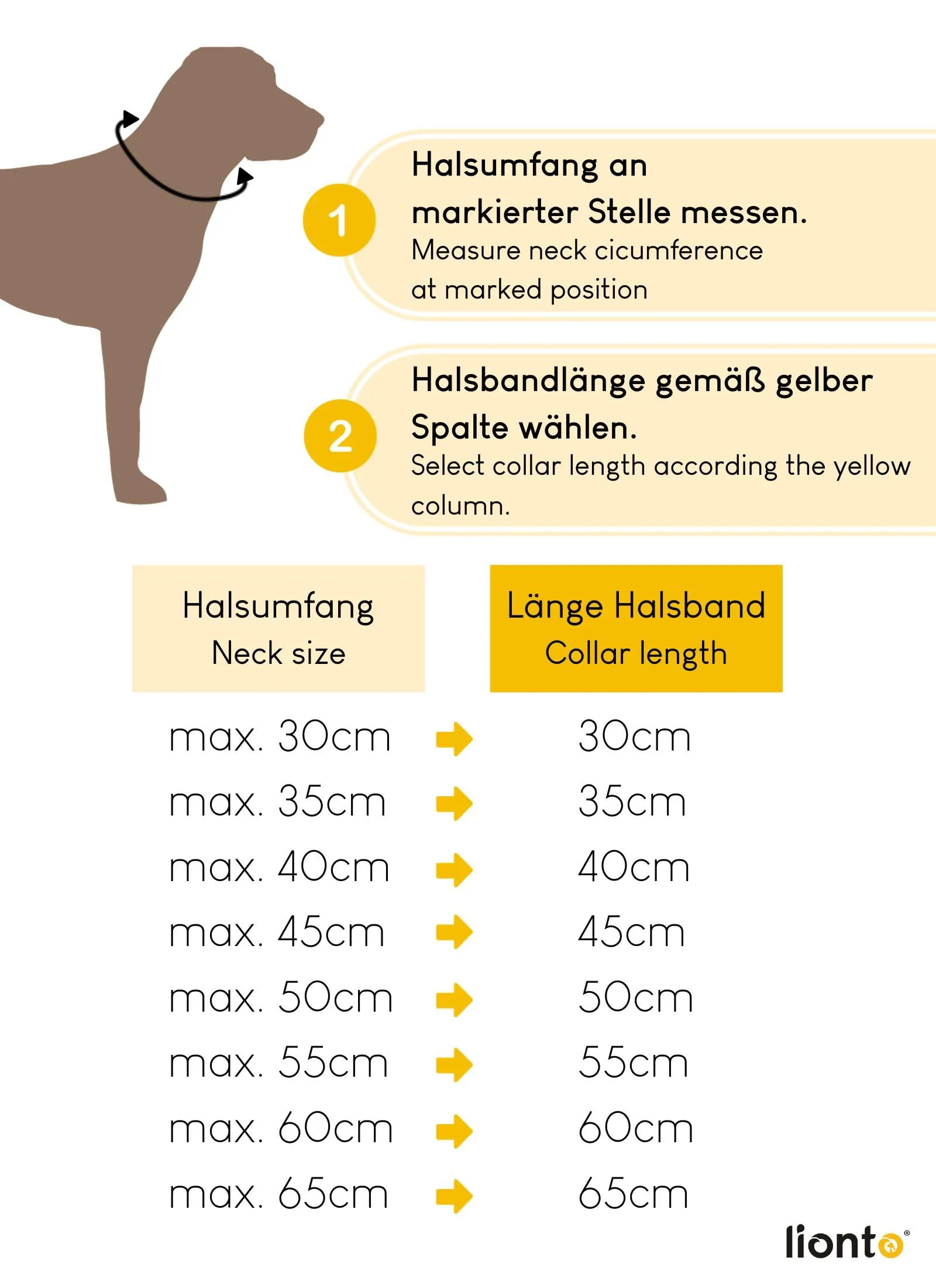 lionto Collare Martingala per Cane, 50 cm, 1 cm, Rosso - immagine 7