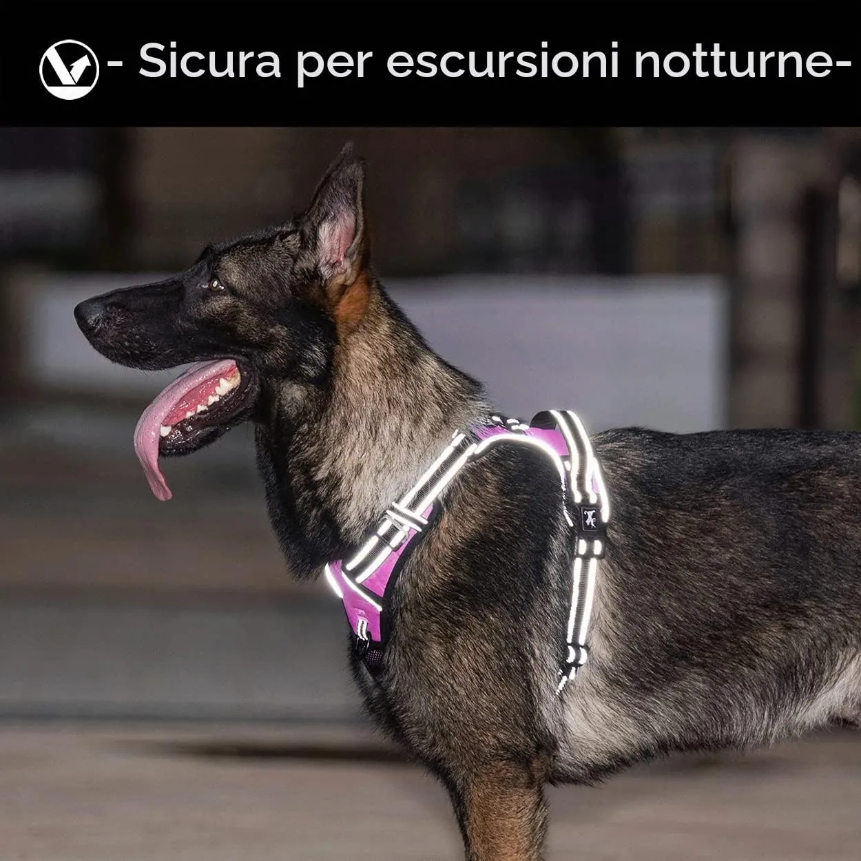 PoyPet Pettorina Anti-trazione Riflettente per Cani, Rosa, L - immagine 6