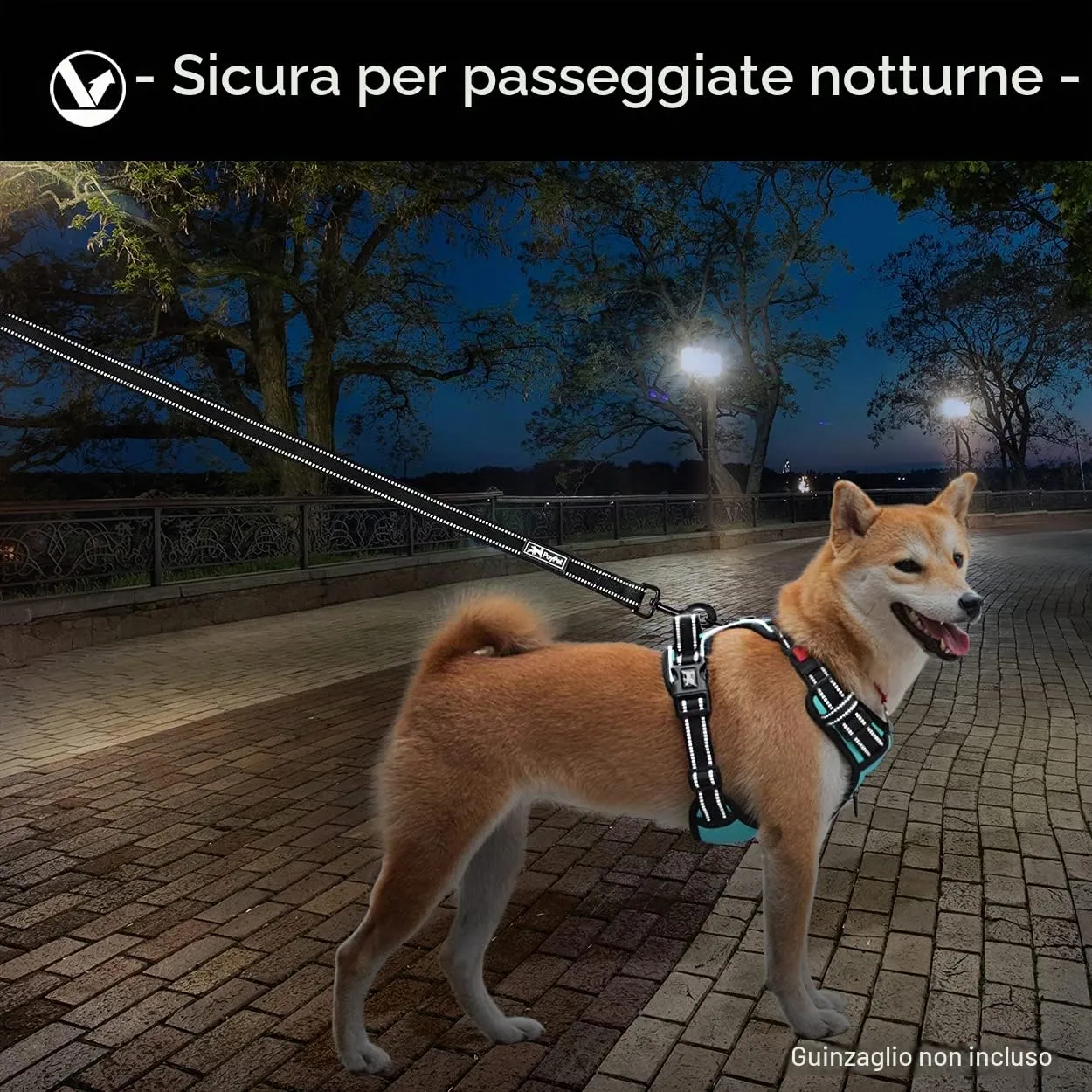 PoyPet Imbracatura per cani anti-trazione riflettente con impugnatura, taglia M, Blu menta - immagine 6