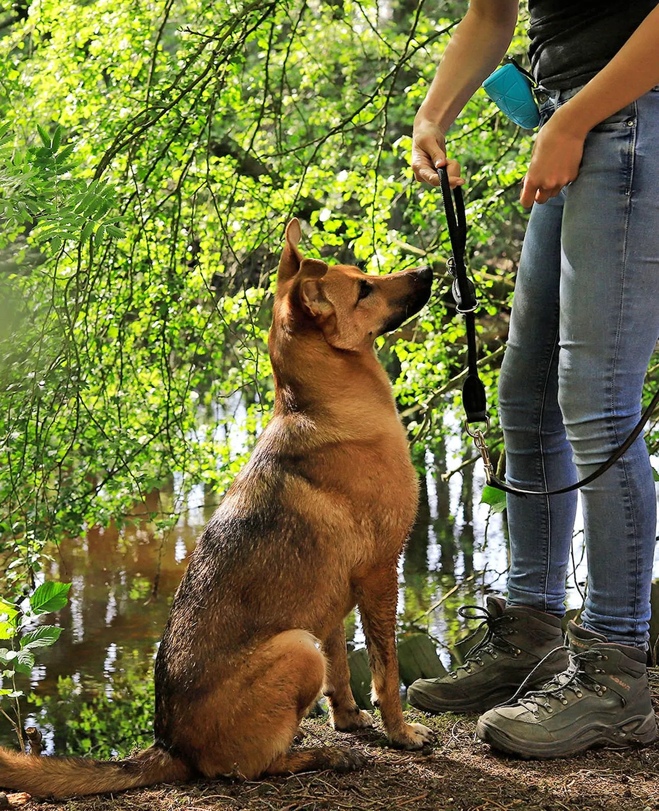 lionto Collare per cani retriever da addestramento, 55 cm, Nero - immagine 2