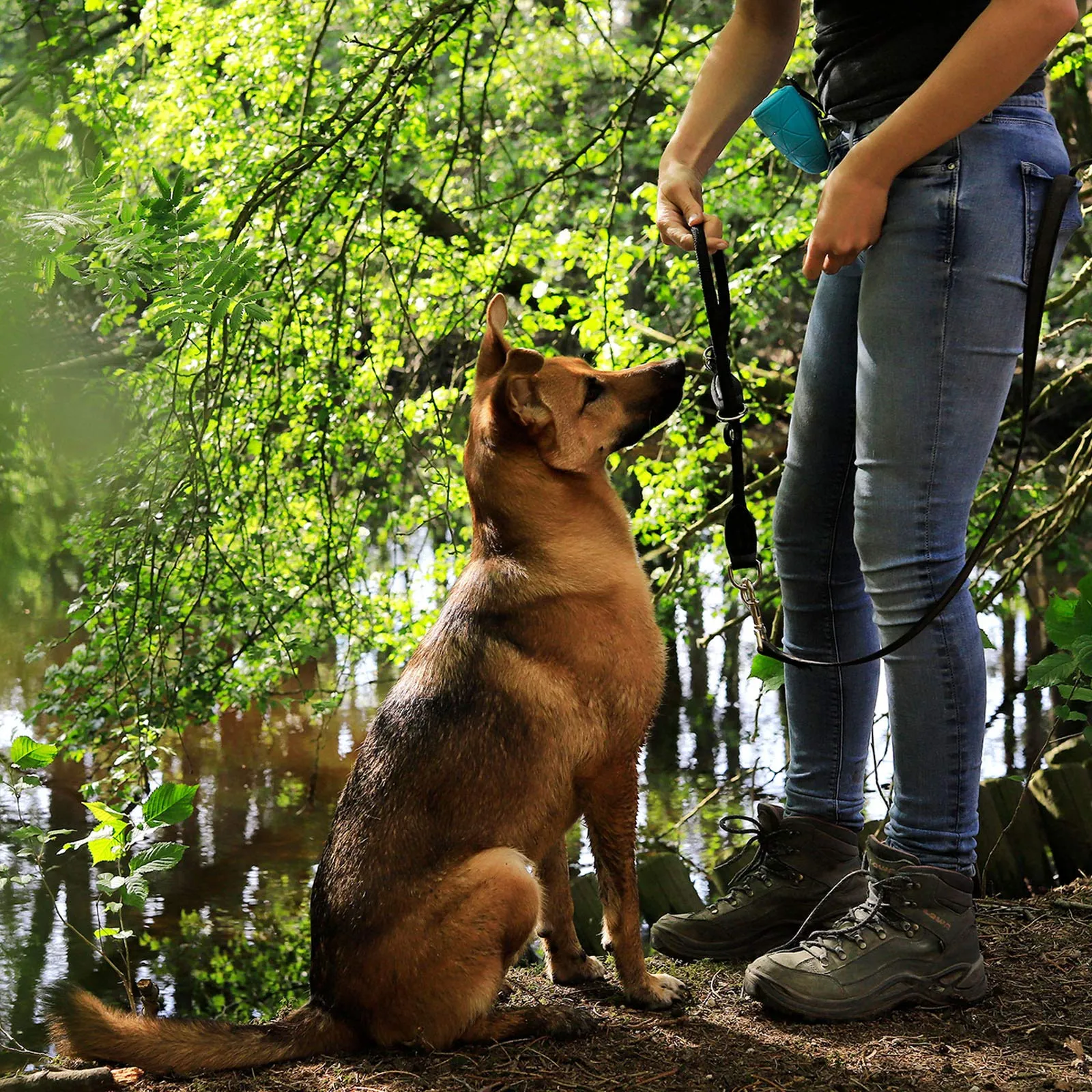 lionto Collare Retriever per cani da addestramento, 40 cm, Nero - immagine 2