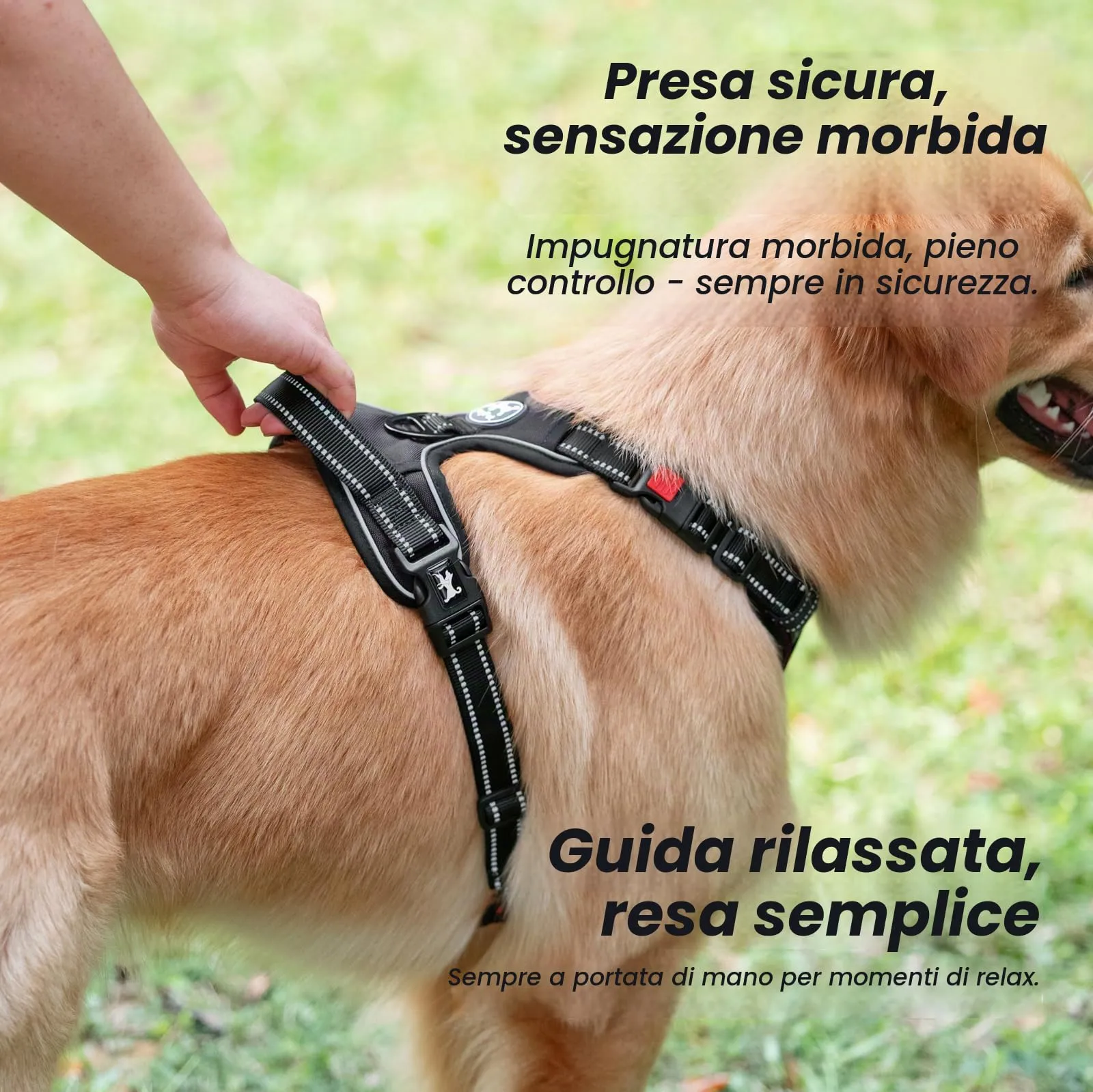 PoyPet Pettorina anti-trazione per cani riflettente, nero, M - immagine 8