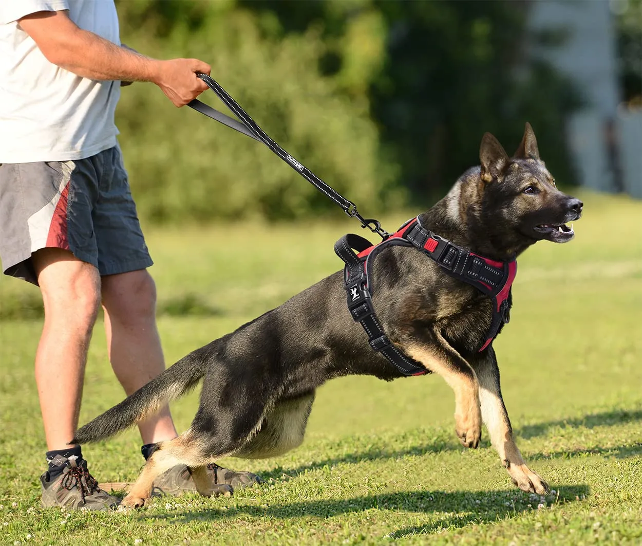 PoyPet Pettorina anti-tiro per cani con manico e riflettente, Rosso, XL - immagine 5