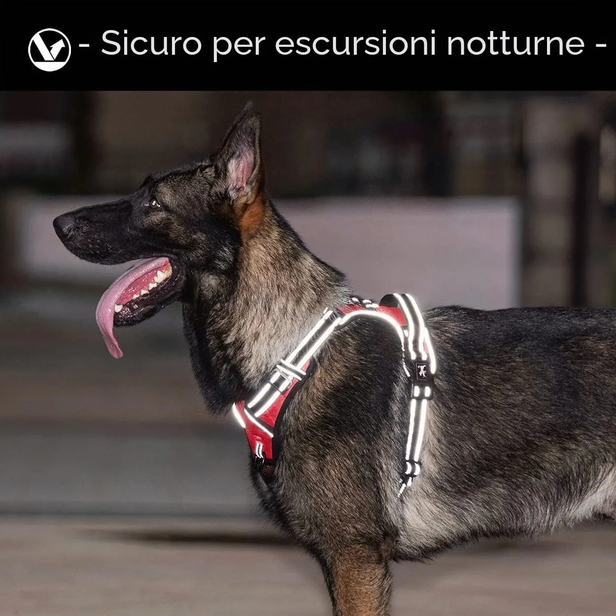 PoyPet Pettorina anti-tiro per cani con manico e riflettente, Rosso, XL - immagine 6