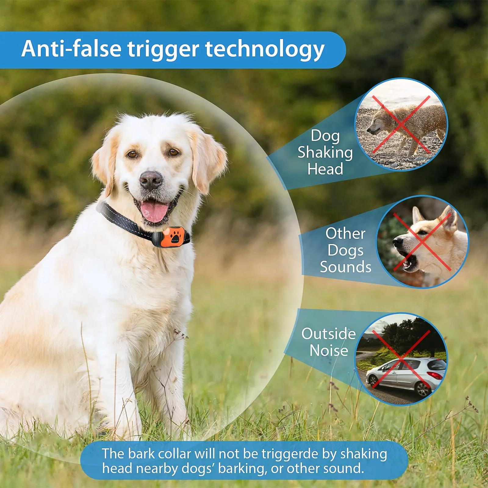 PcEoTllar Collare Antiabbaio Cane Ricaricabile, Blu - immagine 5