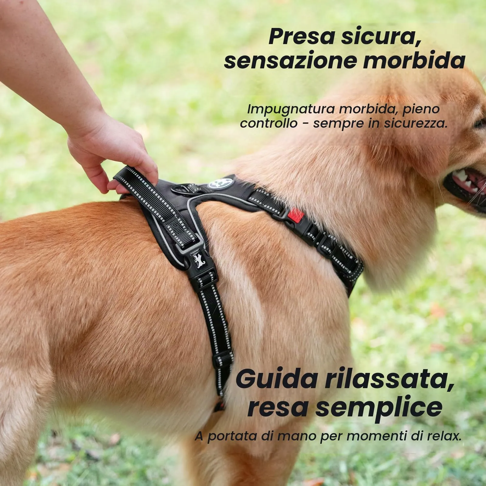 PoyPet Pettorina Anti-trazione per Cani con Manico e Dettagli Riflettenti, Nero, XL - immagine 8