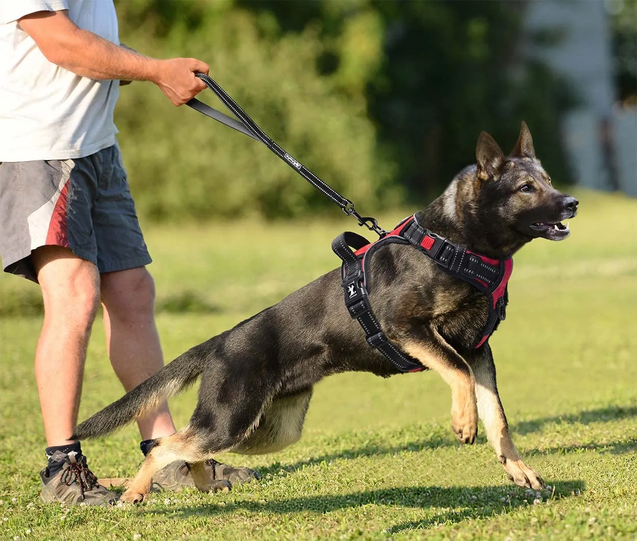 PoyPet Imbracatura No Pull Riflettente per Cani, Gilet Regolabile e Imbottito con Impugnatura Easy Control (Rosso, L) - immagine 5