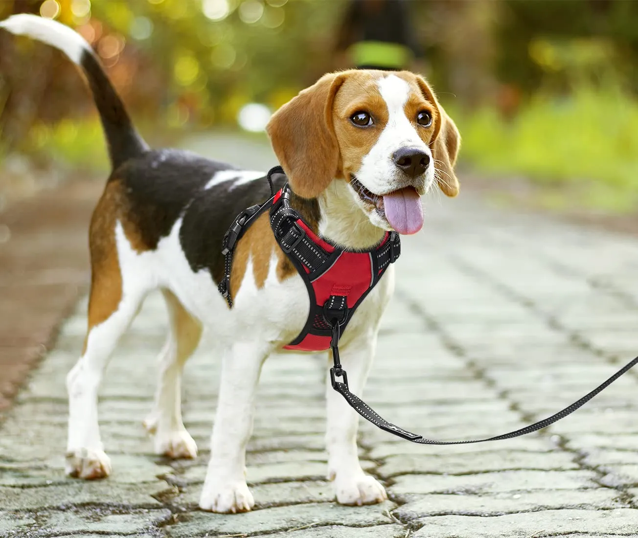 PoyPet Imbracatura No Pull Riflettente per Cani, Gilet Regolabile e Imbottito con Impugnatura Easy Control (Rosso, L) - immagine 7