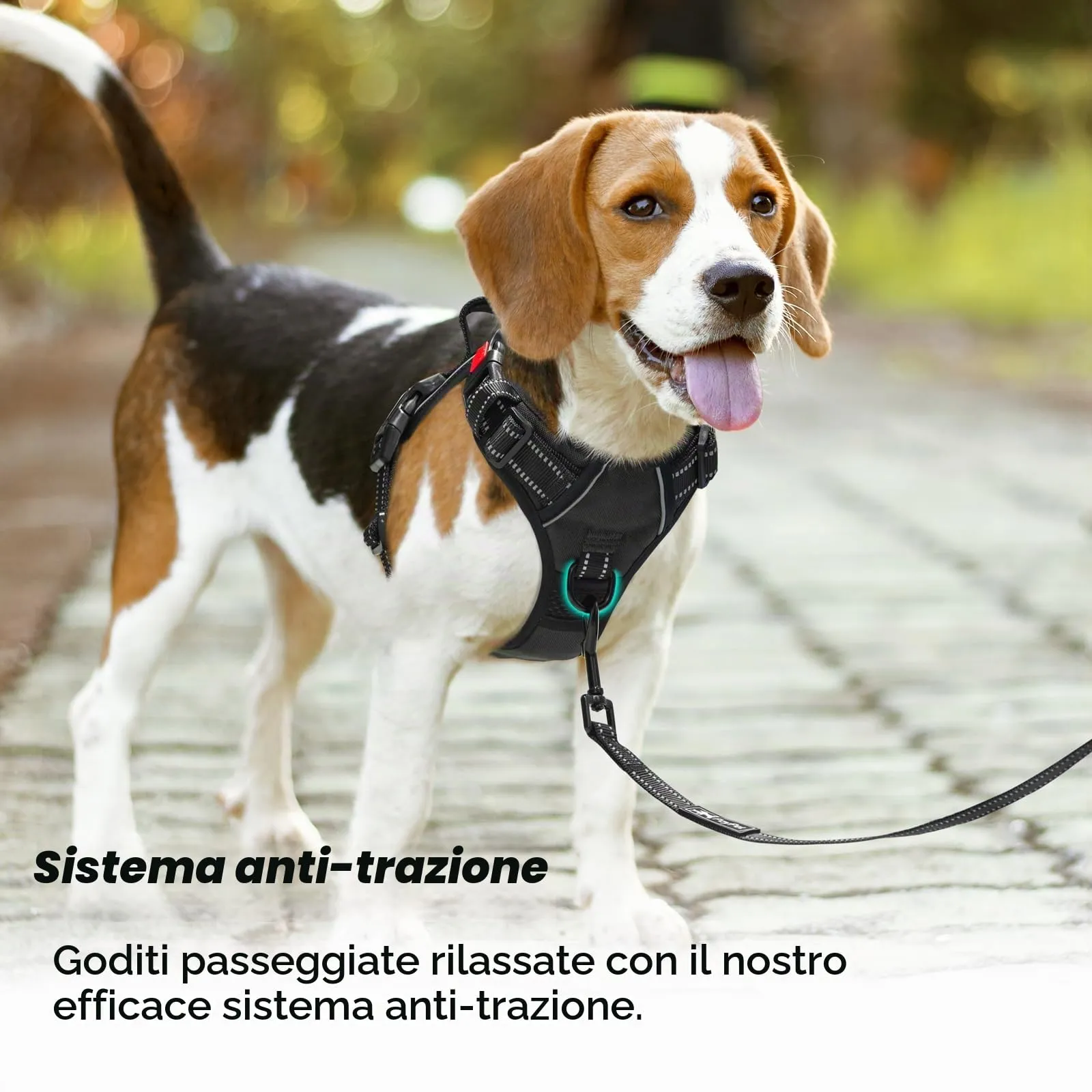 PoyPet Imbracatura No Pull Riflettente per Cani, Gilet Regolabile e Imbottito con Impugnatura Easy Control (Nero, L) - immagine 6
