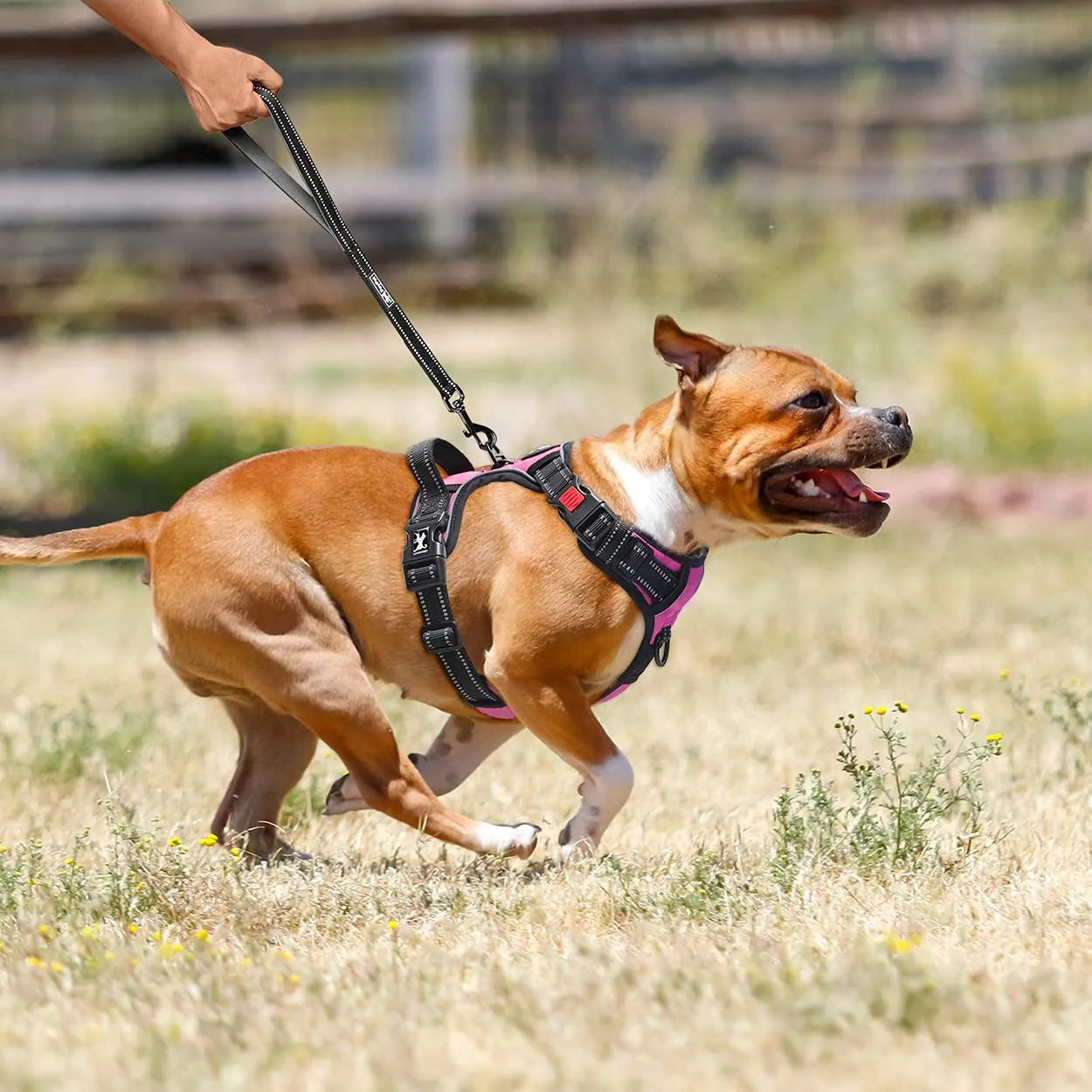 PoyPet Pettorina anti-tiro per cani con manico e riflettenti, rosa, M - immagine 5