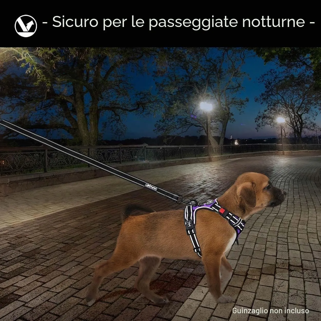 PoyPet Pettorina Anti-tiro Riflettente per Cani, Viola, XL - immagine 6
