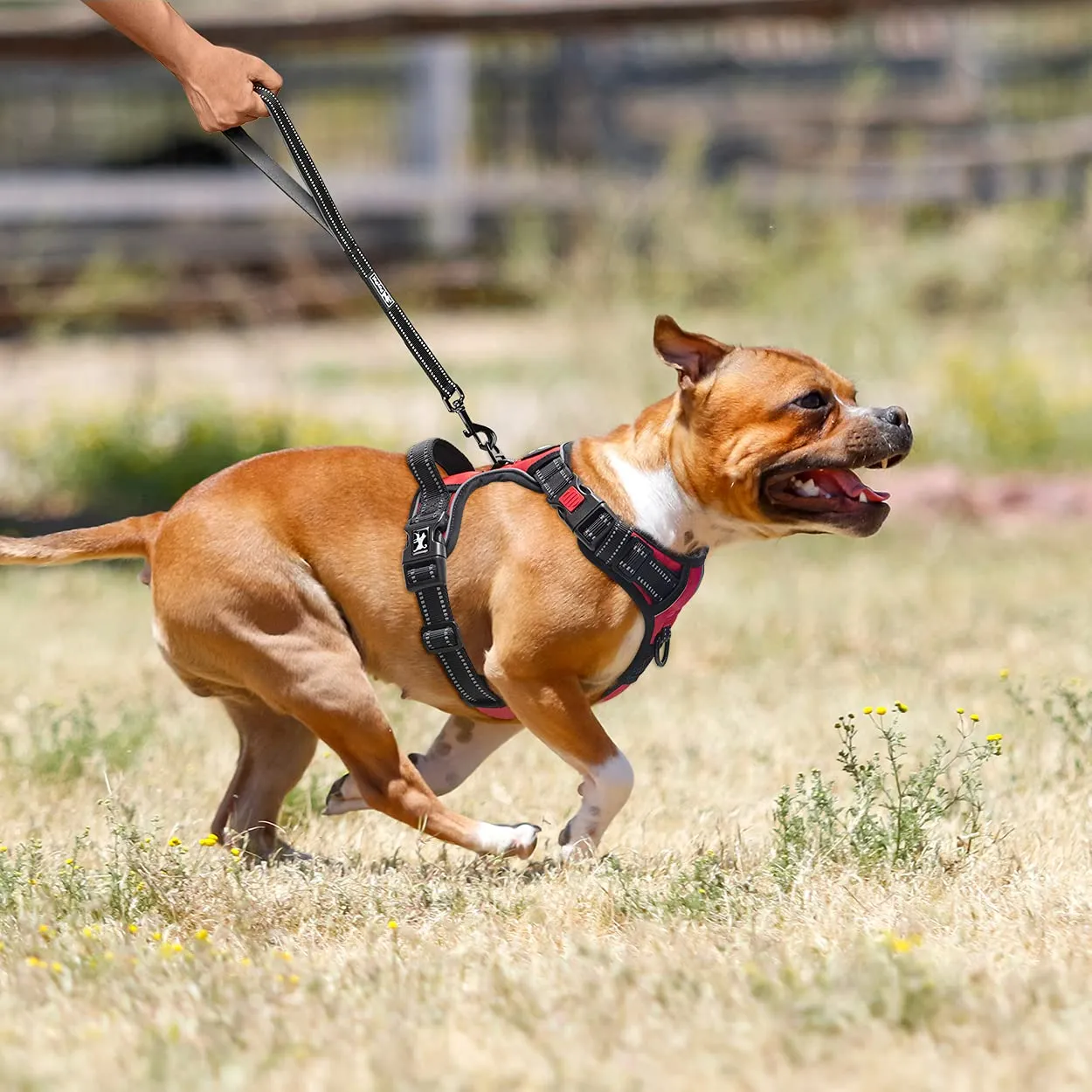 PoyPet Imbracatura per cani anti-trazione anteriore riflettente con impugnatura, Taglia M, Rosso - immagine 5