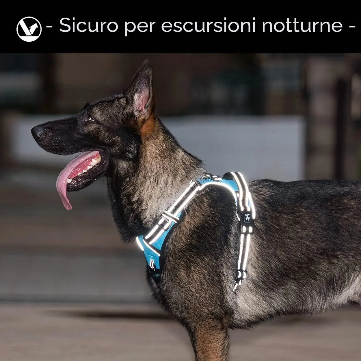 PoyPet Pettorina anti-tiro per cani con impugnatura e dettagli riflettenti, blu, L - immagine 6