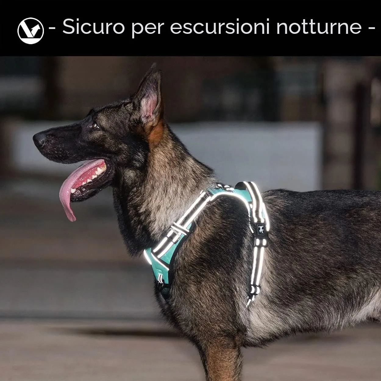 PoyPet Pettorina Anti-trazione Riflettente Frontale per Cani, Blu Menta, L - immagine 6