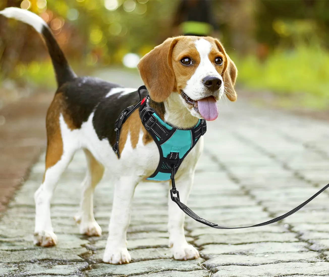 PoyPet Pettorina Anti-trazione Riflettente Frontale per Cani, Blu Menta, L - immagine 7