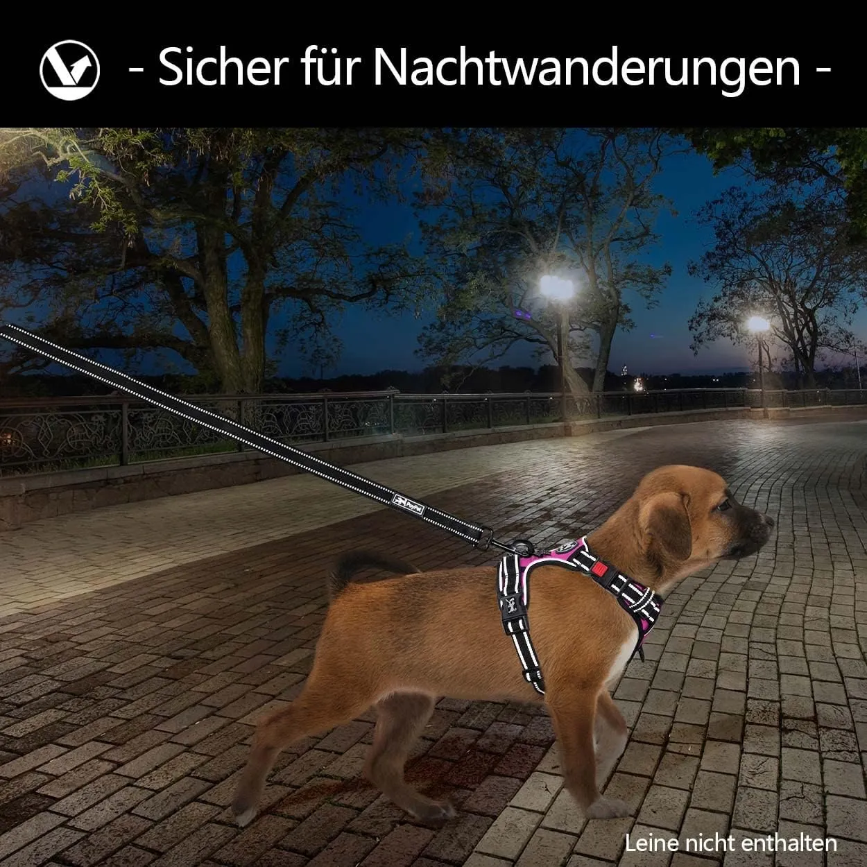 PoyPet Pettorina anti-trazione per cani riflettente con impugnatura, Rosa, XL - immagine 6