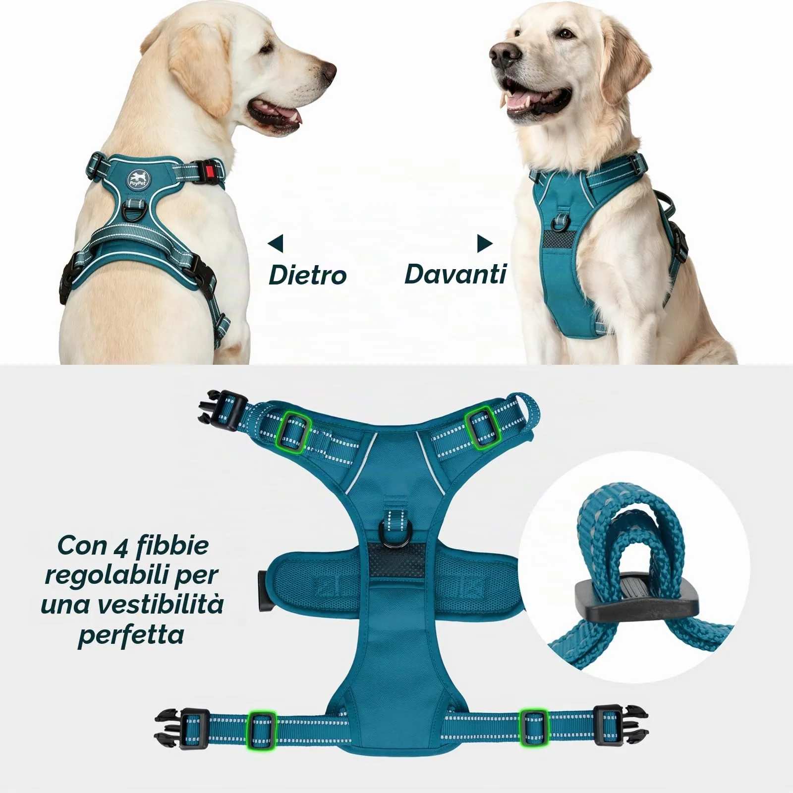 PoyPet Imbracatura No Pull Riflettente per Cani, Gilet Regolabile e Imbottito con Impugnatura Easy Control, Tumalo Teal, S - immagine 5
