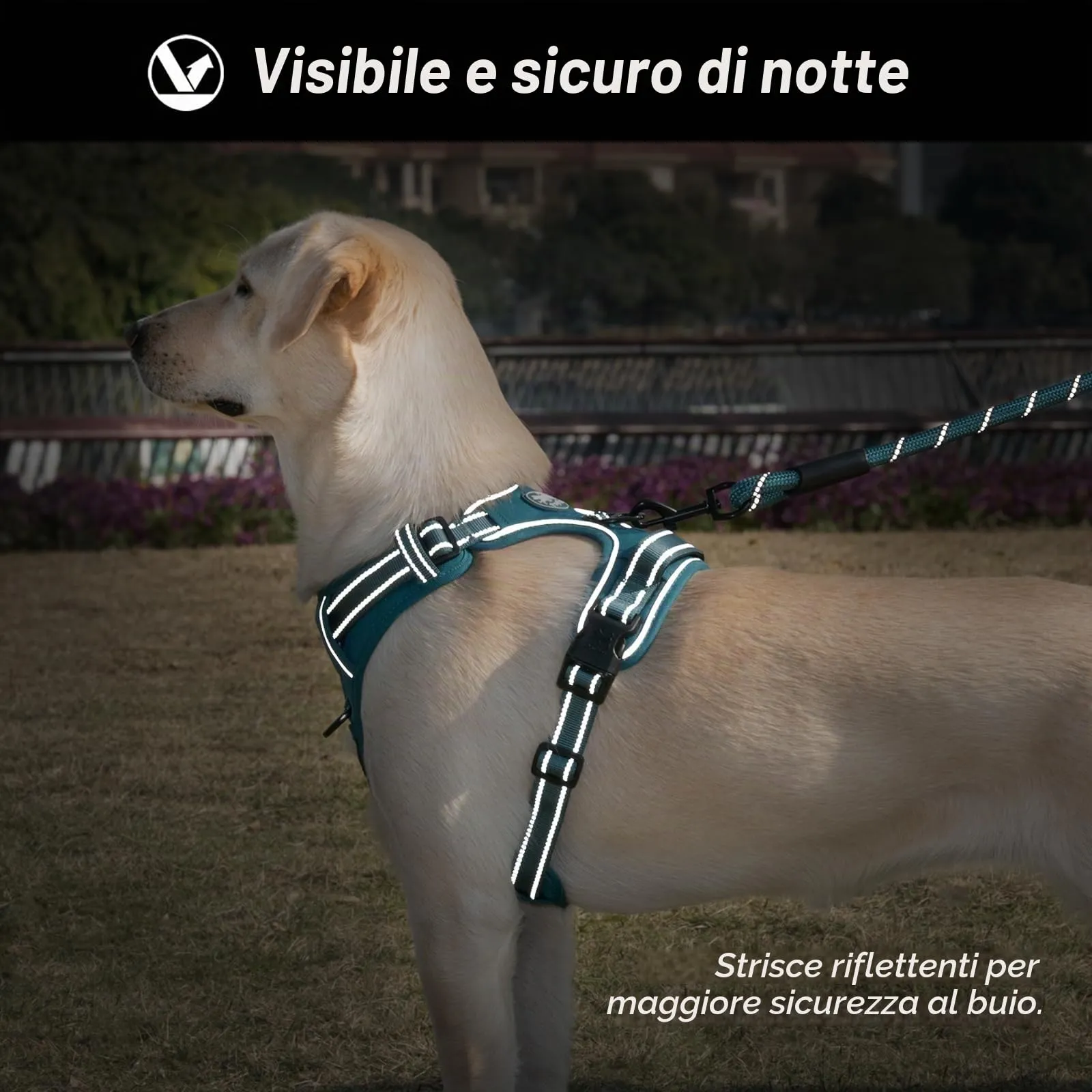 PoyPet Imbracatura No Pull Riflettente per Cani, Gilet Regolabile e Imbottito con Impugnatura Easy Control, Tumalo Teal, S - immagine 9