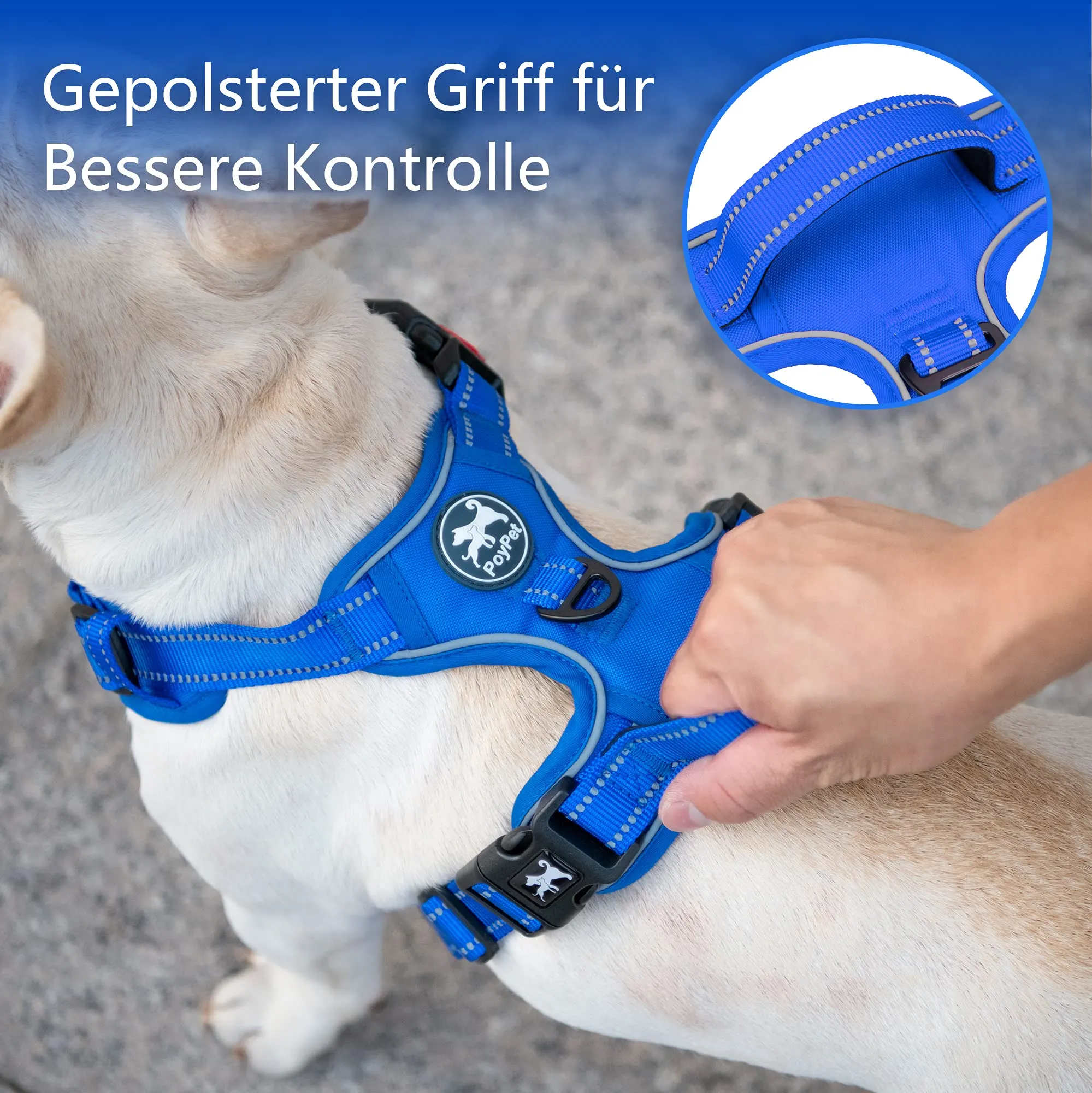 PoyPet Pettorina per cani senza trazione, riflettente, regolabile e imbottita con maniglia di controllo, XL, Blu zaffiro - immagine 5