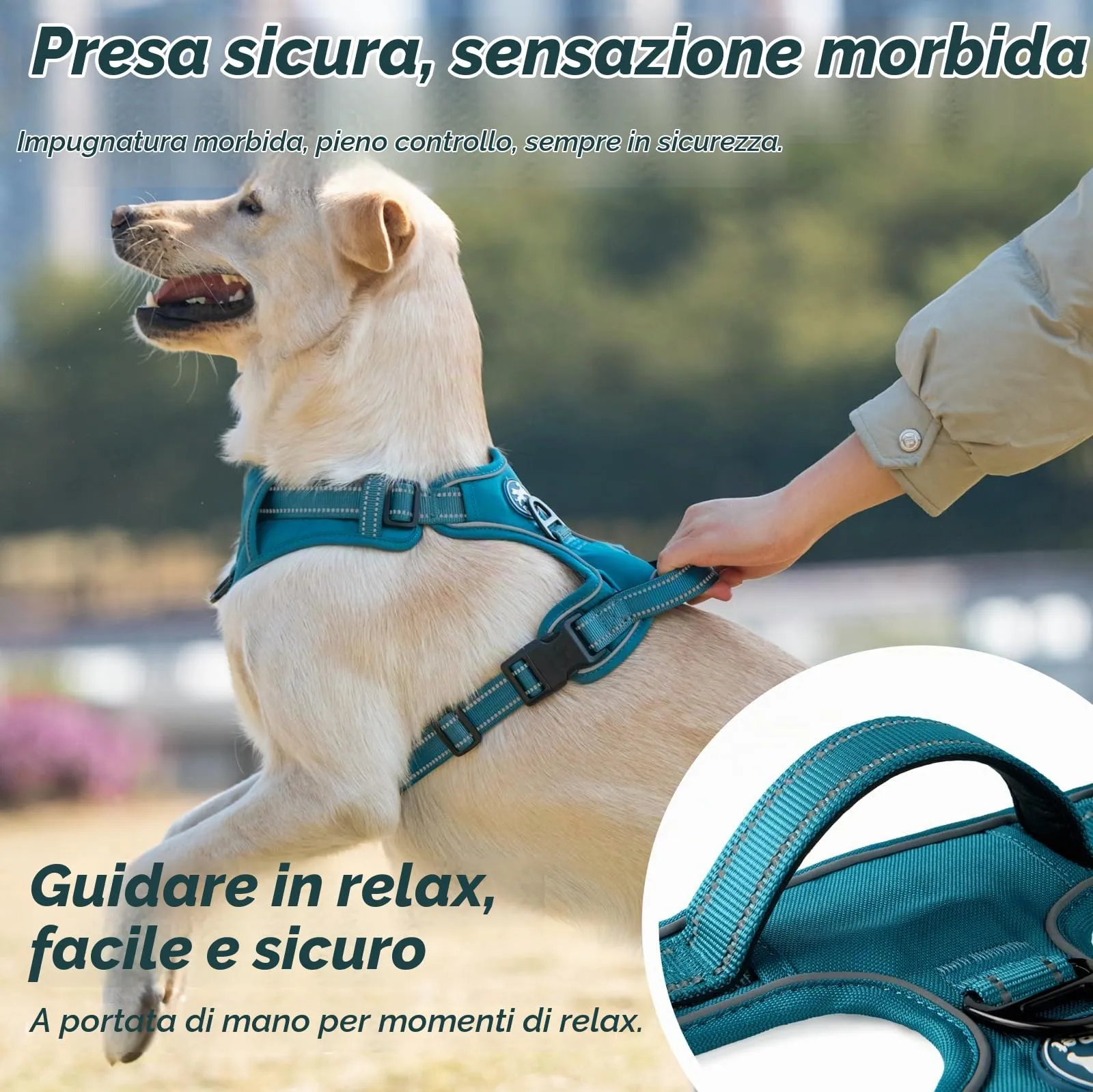 PoyPet Pettorina per cani anti-tiro, riflettente e regolabile, gilet imbottito per cani di grossa taglia, Taglia L, Verde acqua - immagine 8