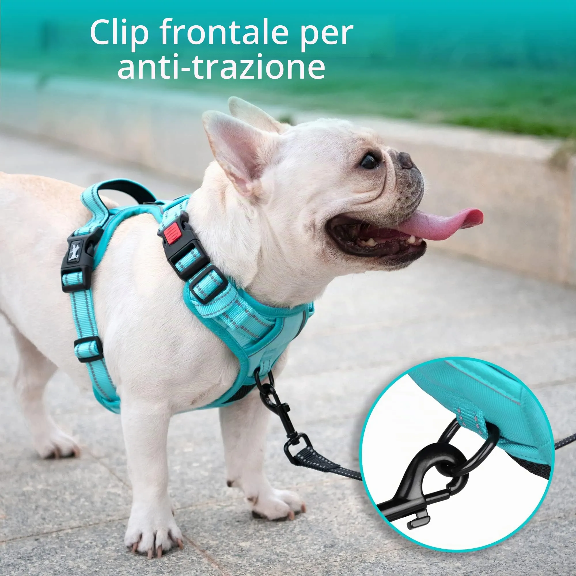 PoyPet Pettorina Antitiraggio Riflettente per Cani Taglia Grande, Blu, L - immagine 4