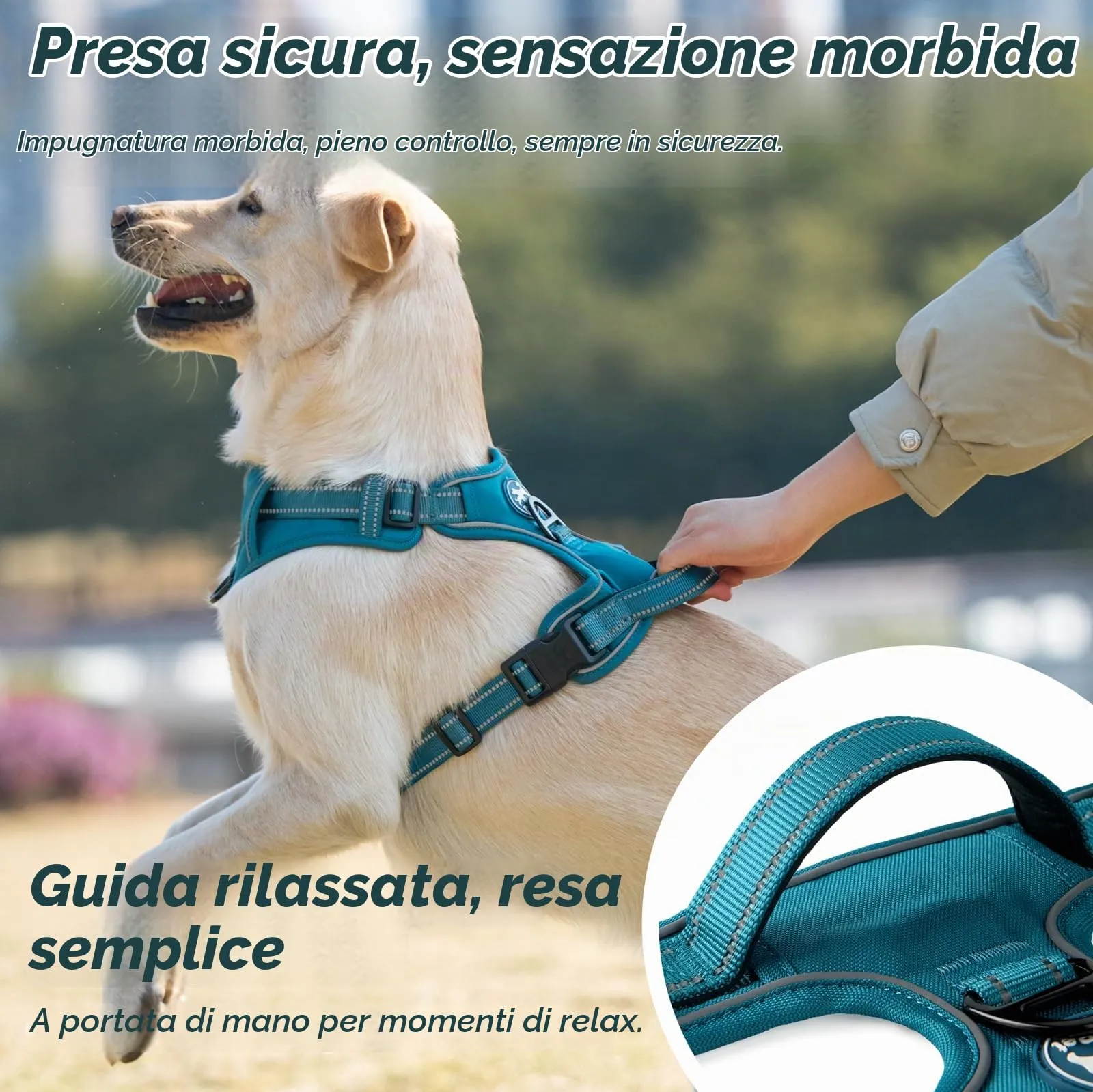 PoyPet Imbracatura No Pull Riflettente per Cani, Gilet Regolabile e Imbottito con Impugnatura Easy Control (Tumalo Teal, XL) - immagine 8